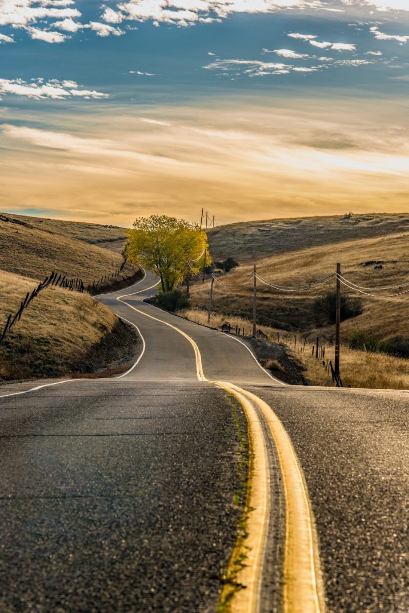 Expert Tips on How To Plan A Summer Road Trip in 2023