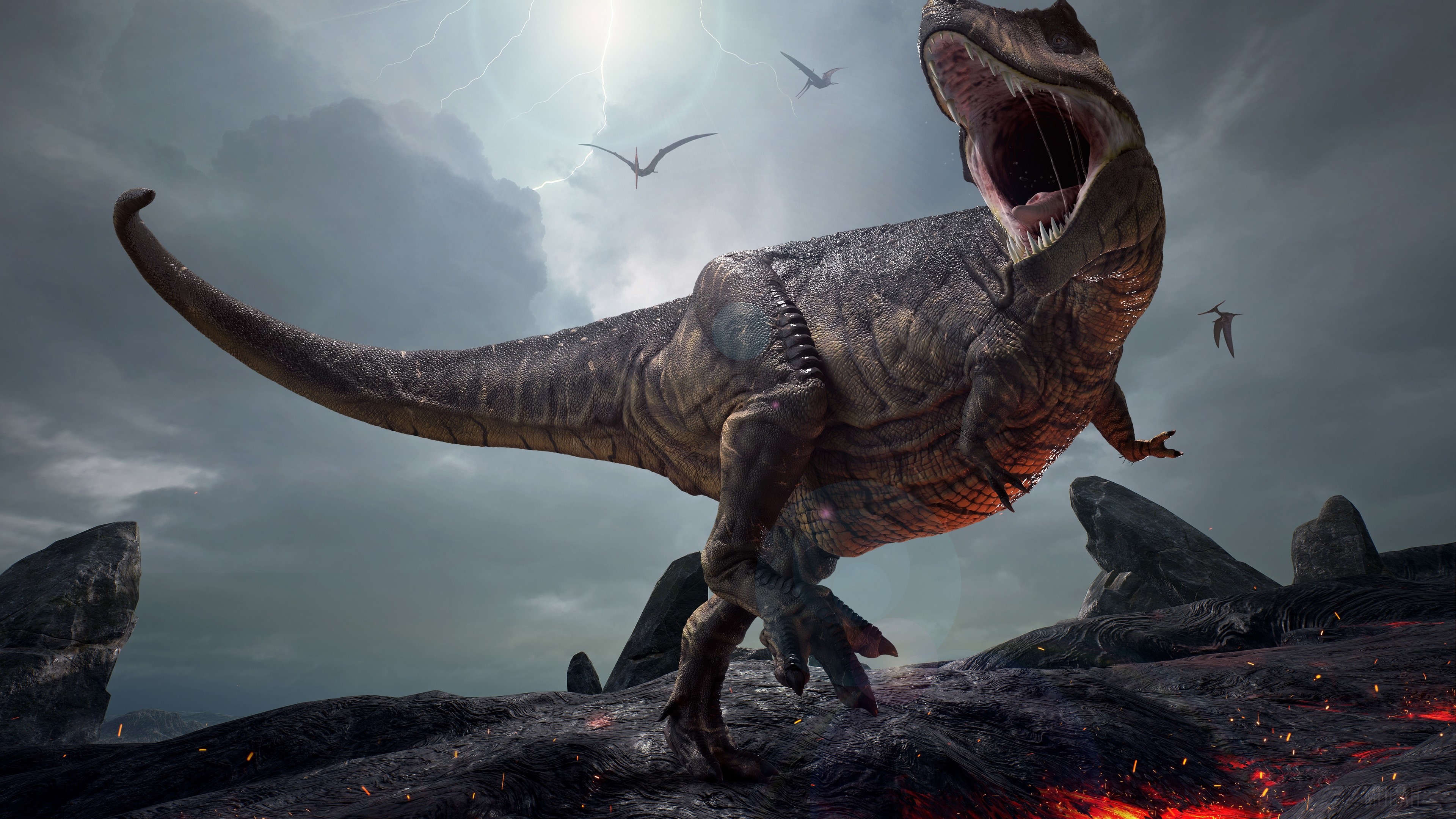 Dinosaur, Tyrannosaurus Rex 4k Gallery HD Wallpaper