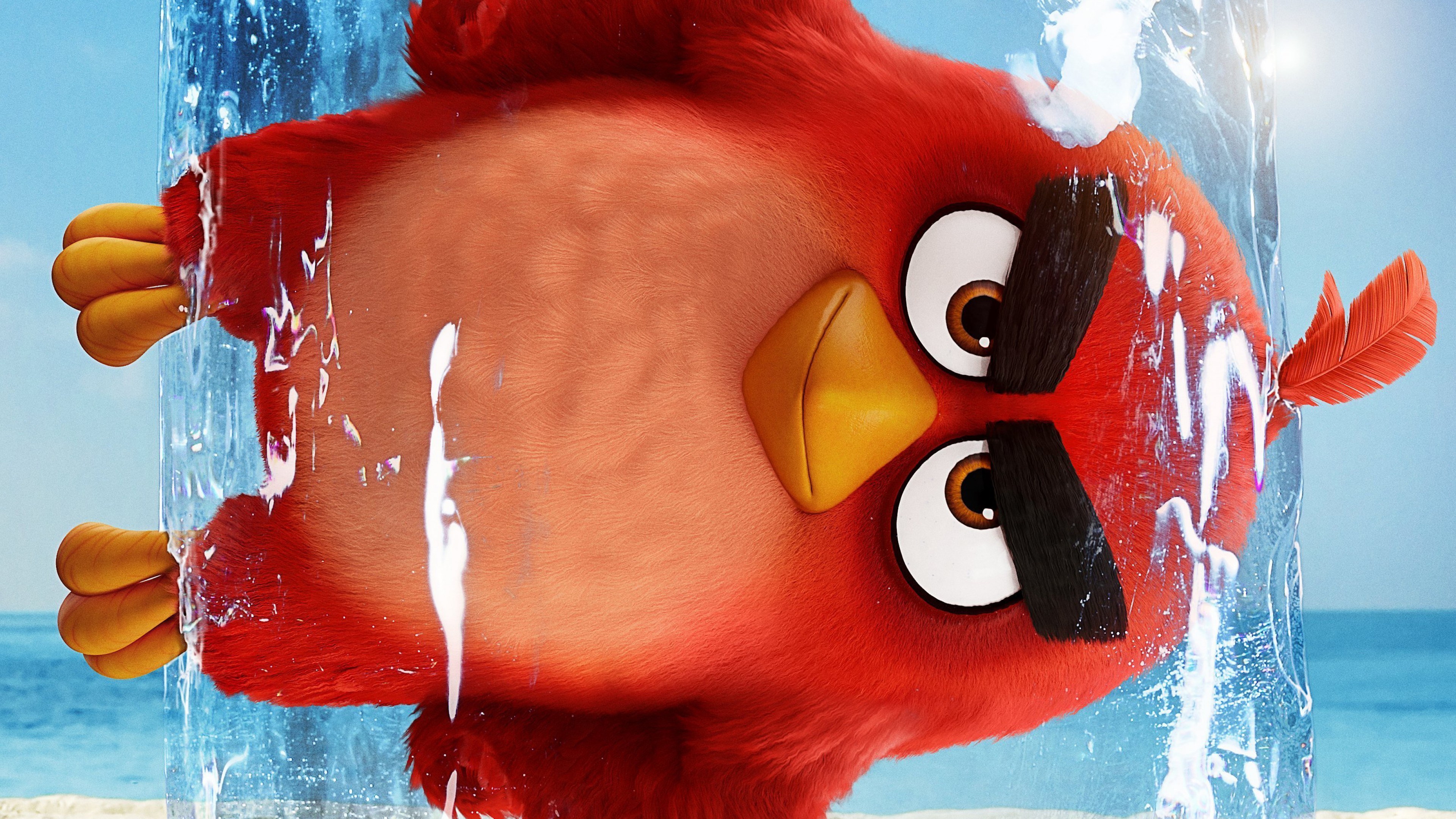 Wallpaper The Angry Birds Movie 2, poster, 4K, Movies