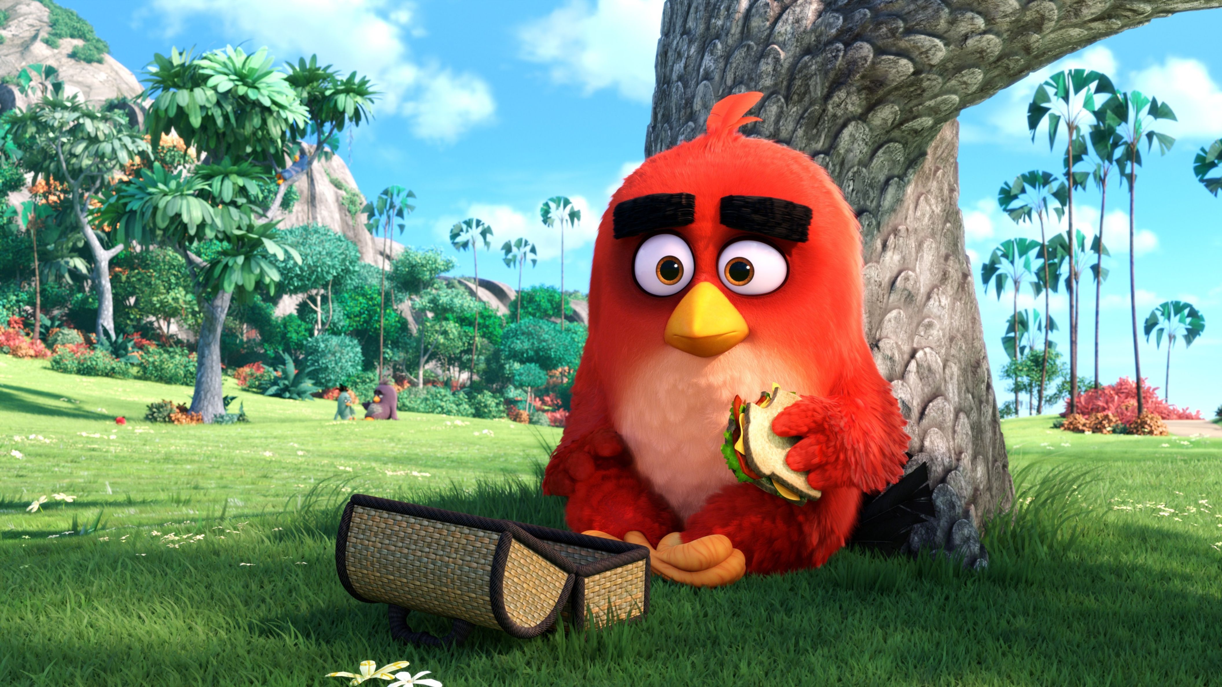 Movie The Angry Birds Movie 4k Ultra HD Wallpaper