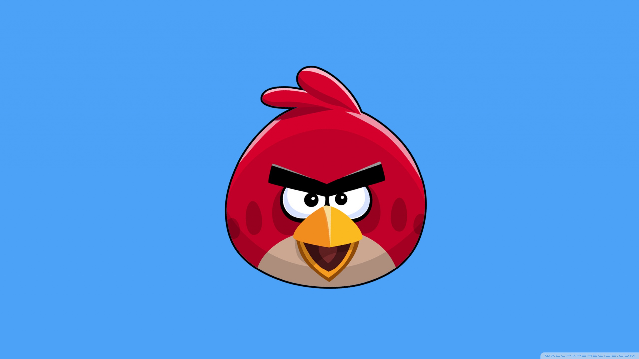 Angry Bird Ultra HD Desktop Background Wallpaper for 4K UHD TV, Widescreen & UltraWide Desktop & Laptop, Multi Display, Dual Monitor, Tablet