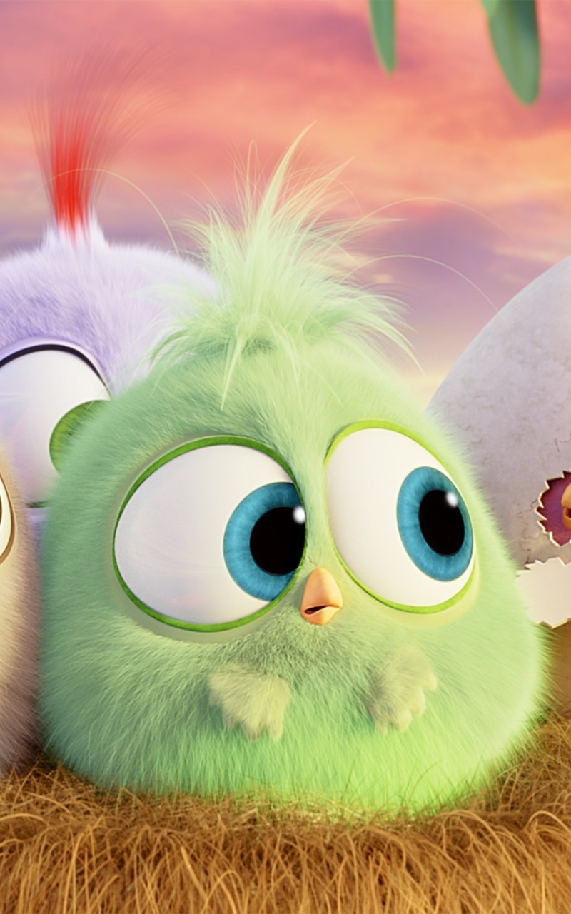 Wallpaper / Movie The Angry Birds Movie Phone Wallpaper, , 800x1280 free download