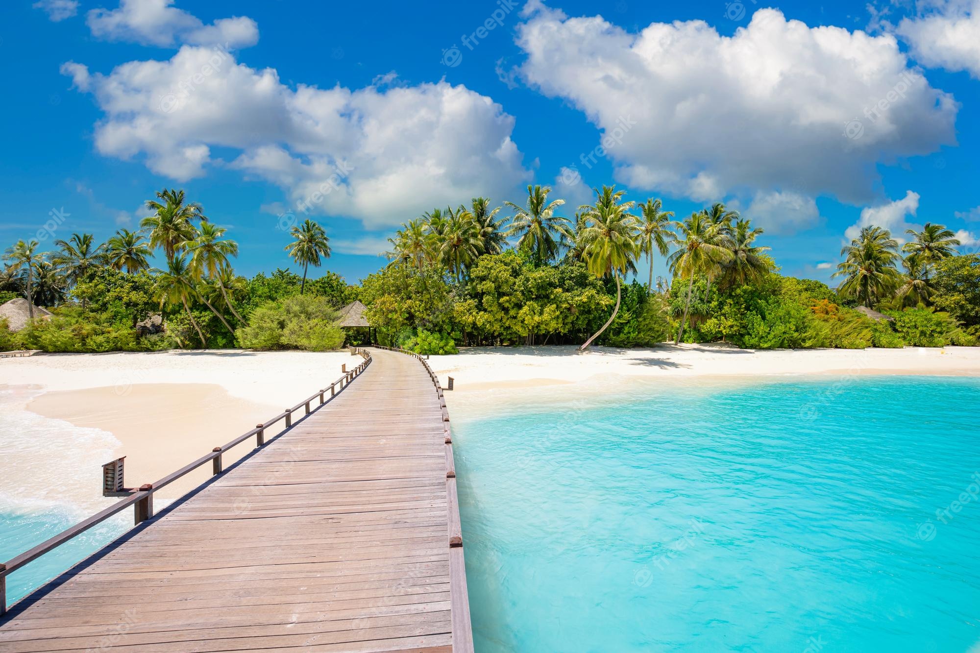 Premium Photo. Idyllic tropical beach landscape wallpaper. pier into paradise island summer vacation, maldives