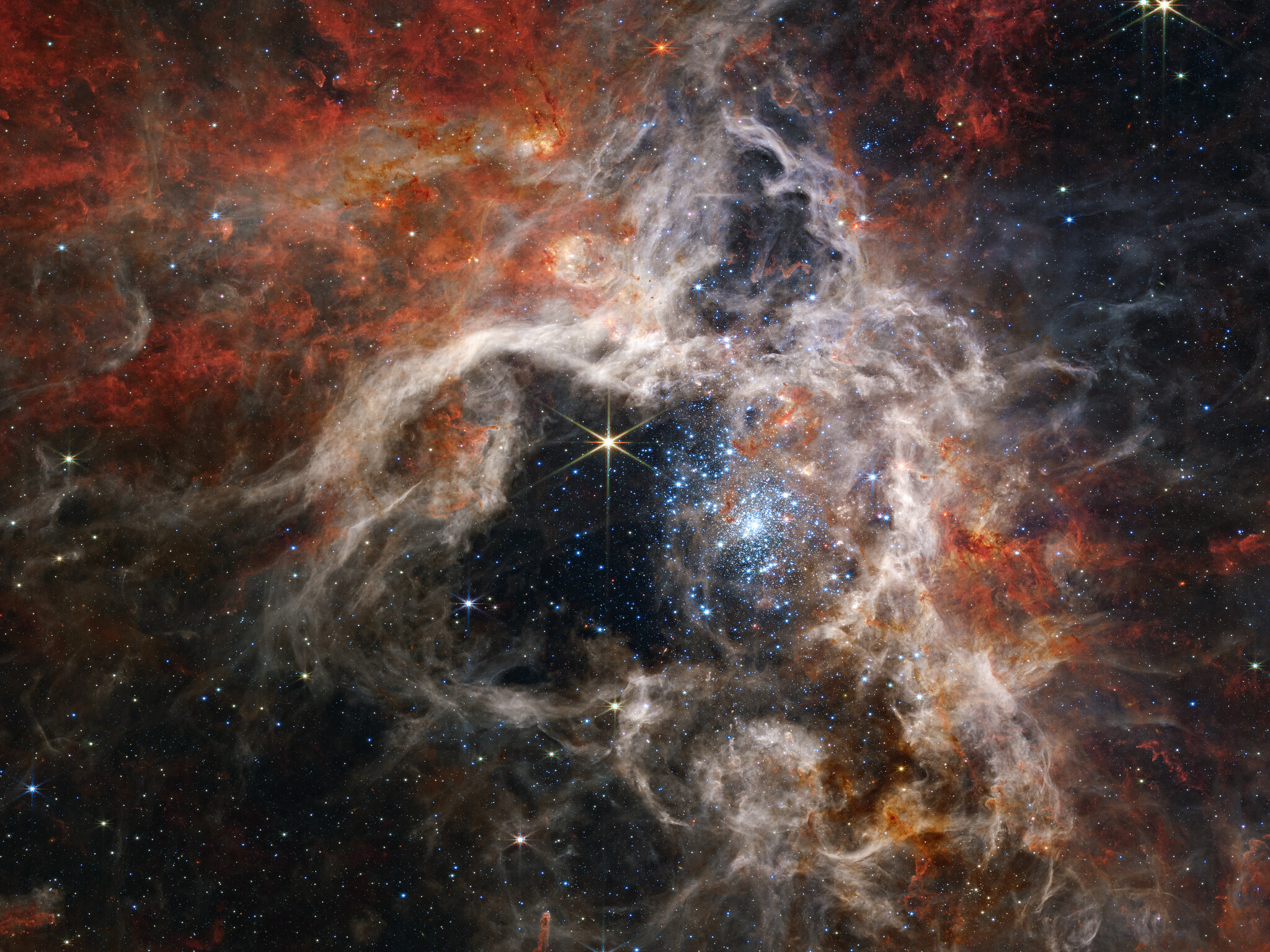 Tarantula Nebula (NIRCam Image)