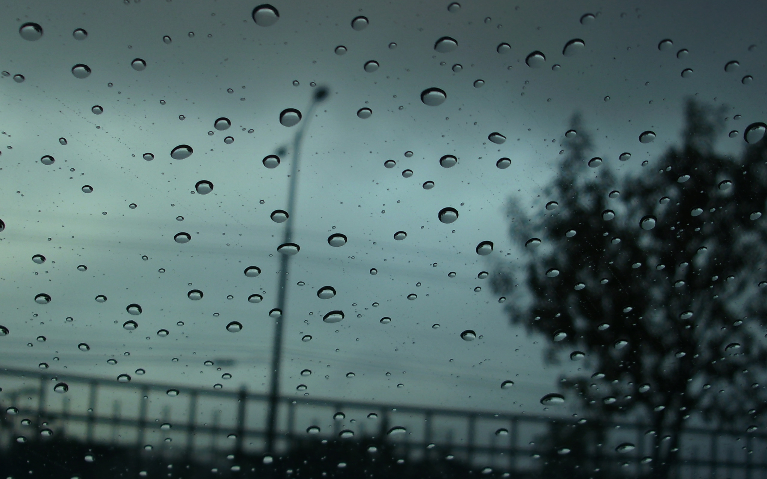 Rainy Fall Wallpaper