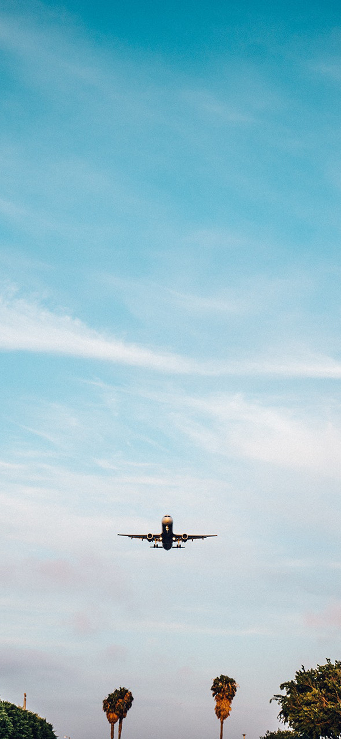 iPhone X wallpaper. vacation landing fly plane summer nature