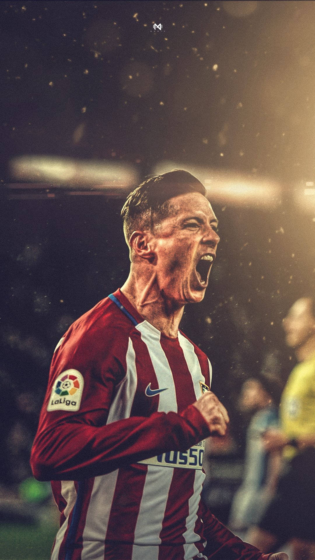 Fernando Torres Wallpaper
