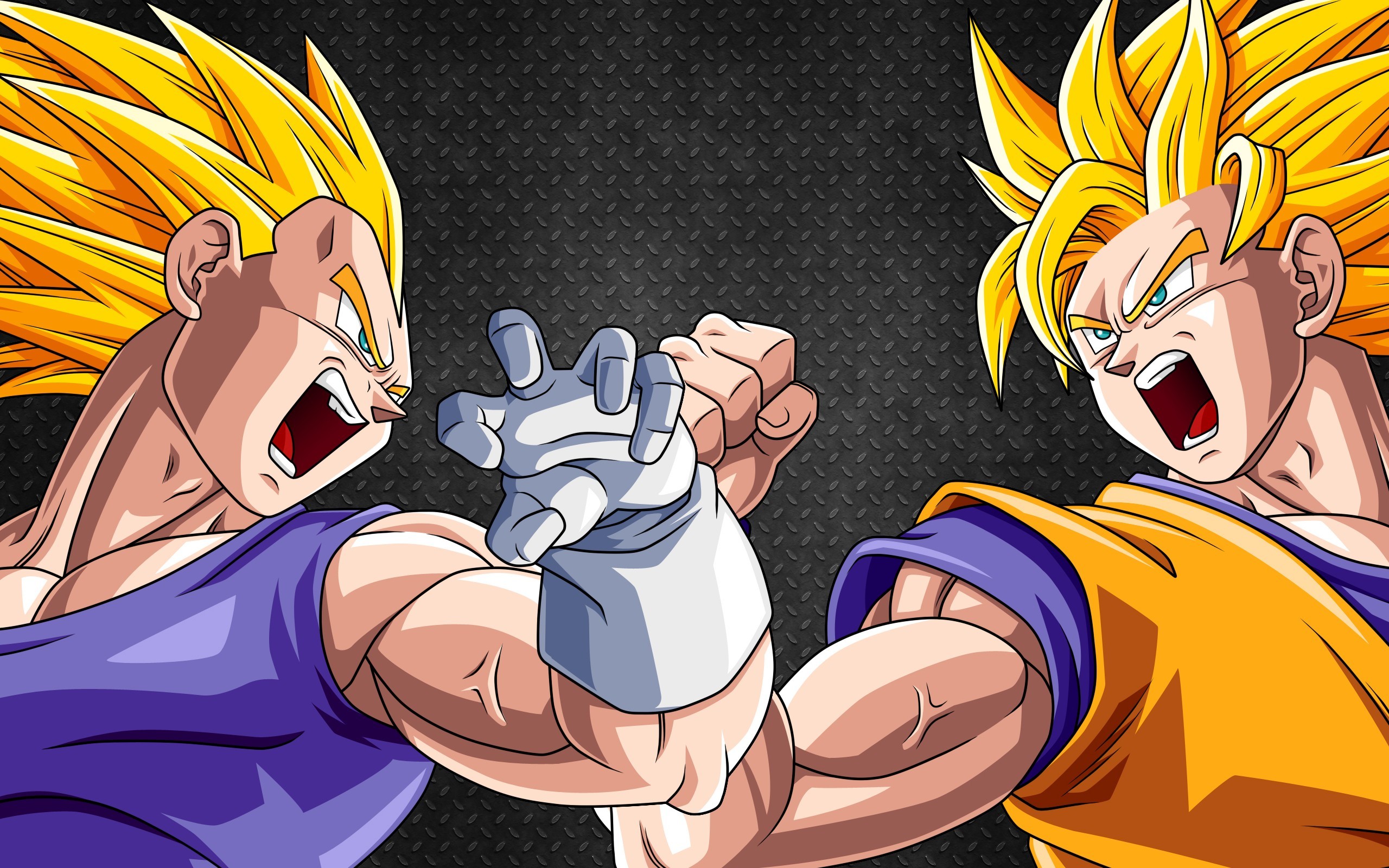 Dbz Wallpaper Goku and Vegeta