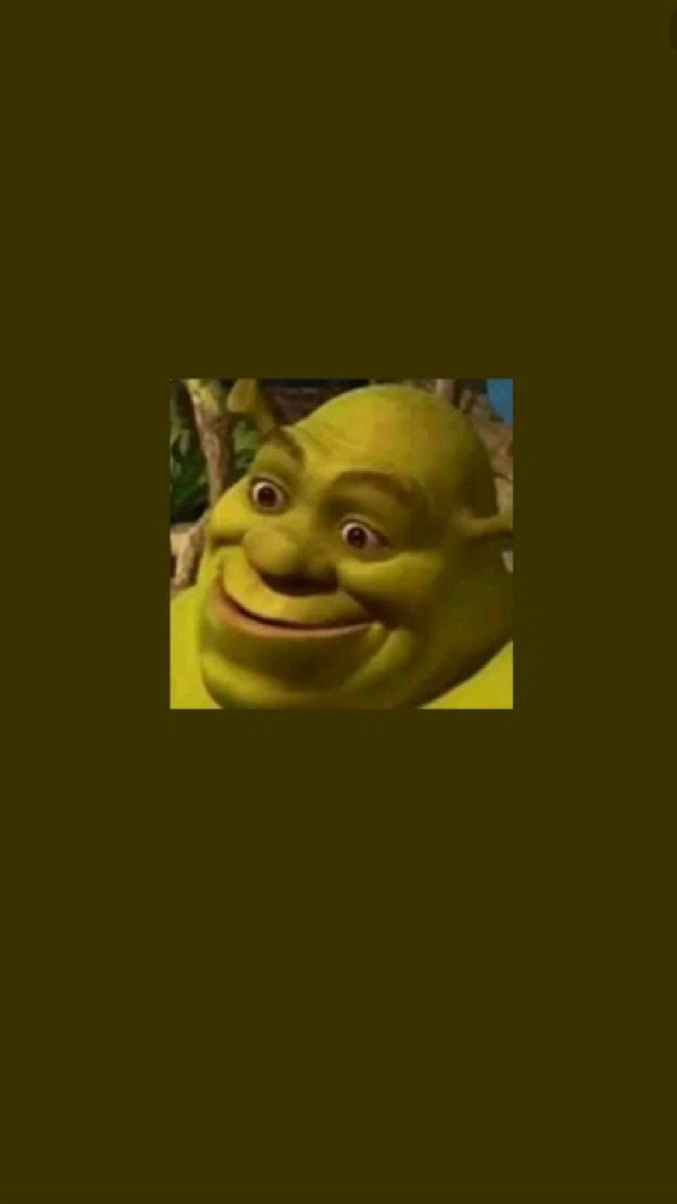 200+] Shrek Wallpapers