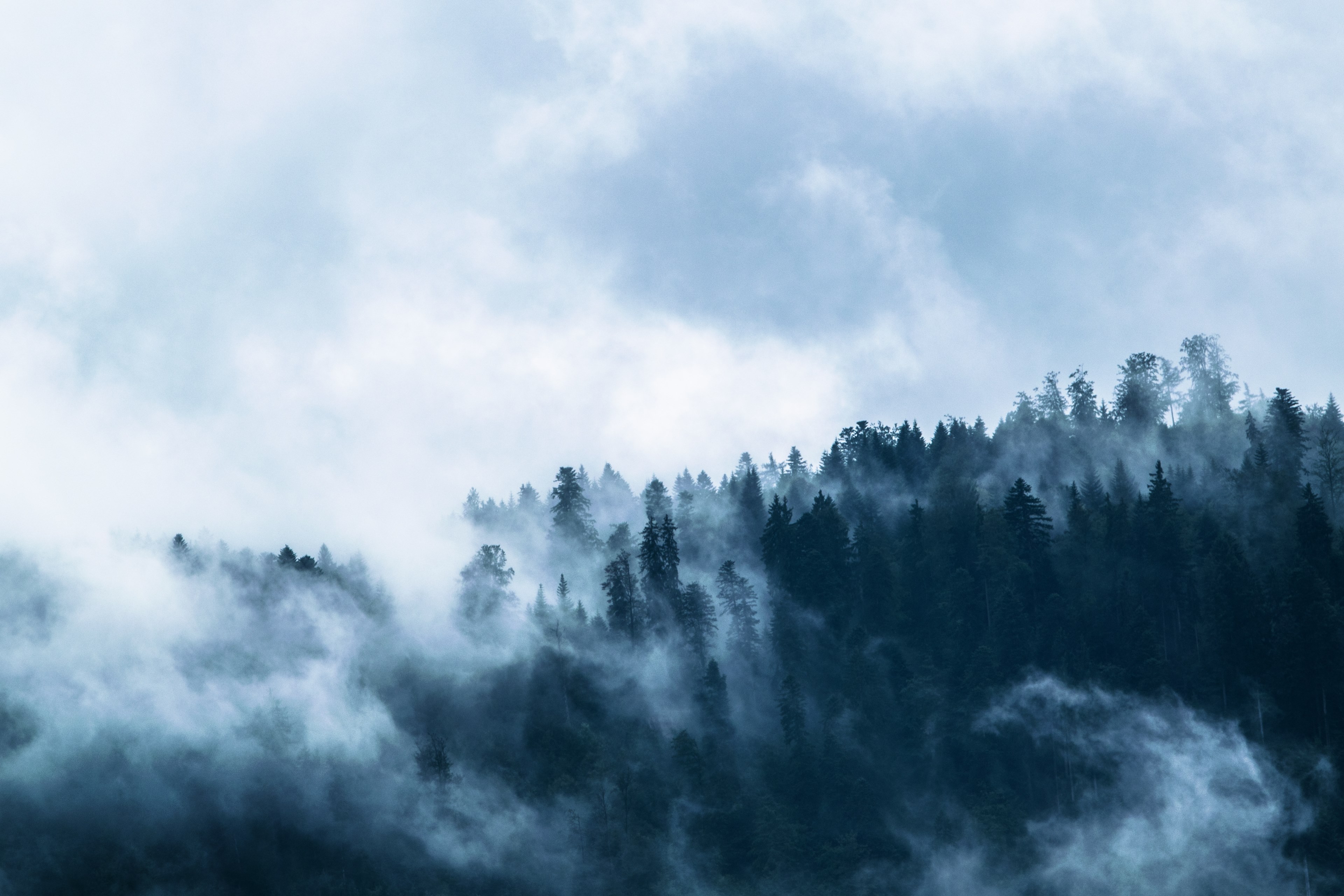 Wallpaper / fog forest mountain world clouds dramatic blue 4k wallpaper free download