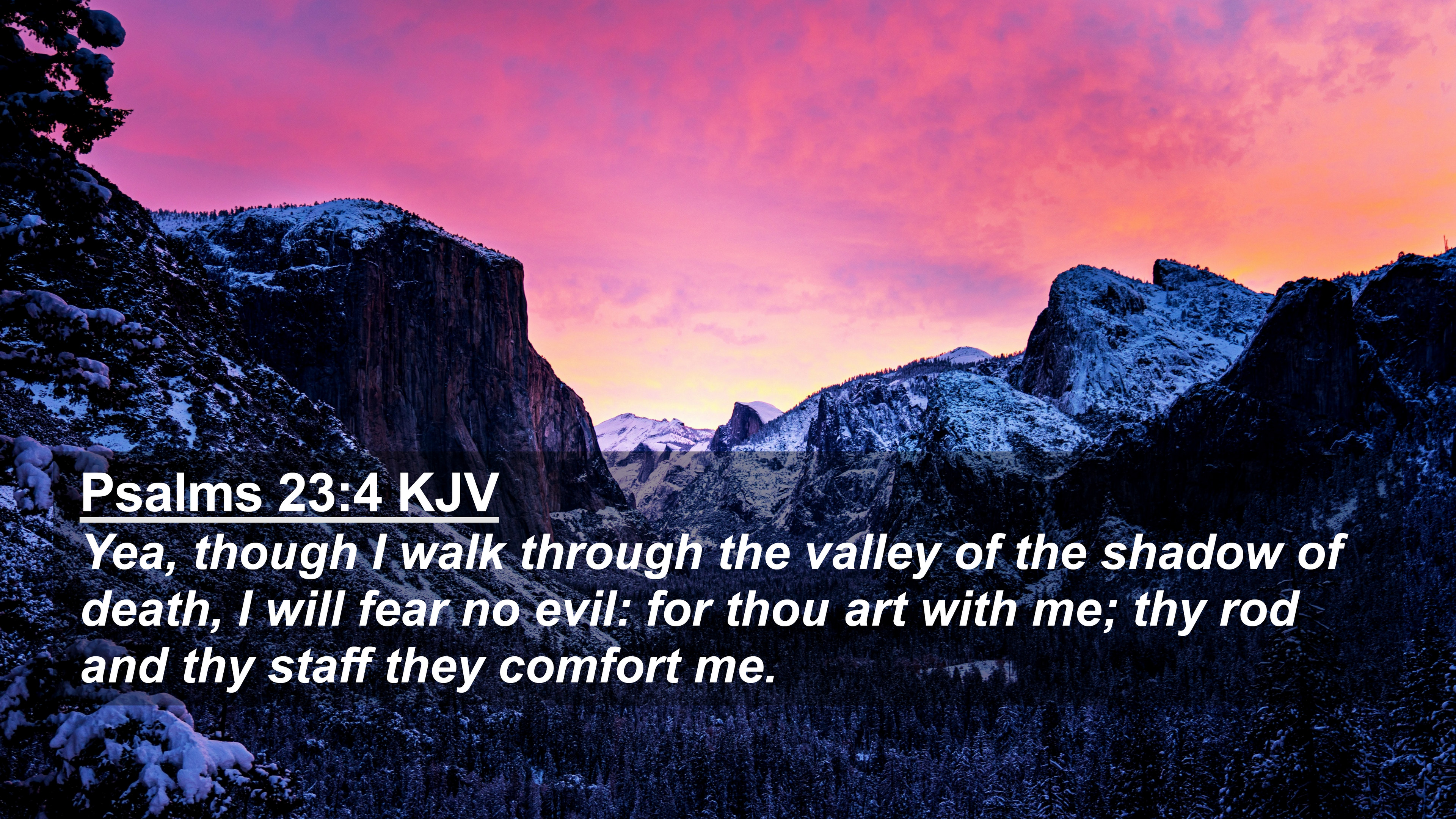 Bible Verse 4k Wallpaper