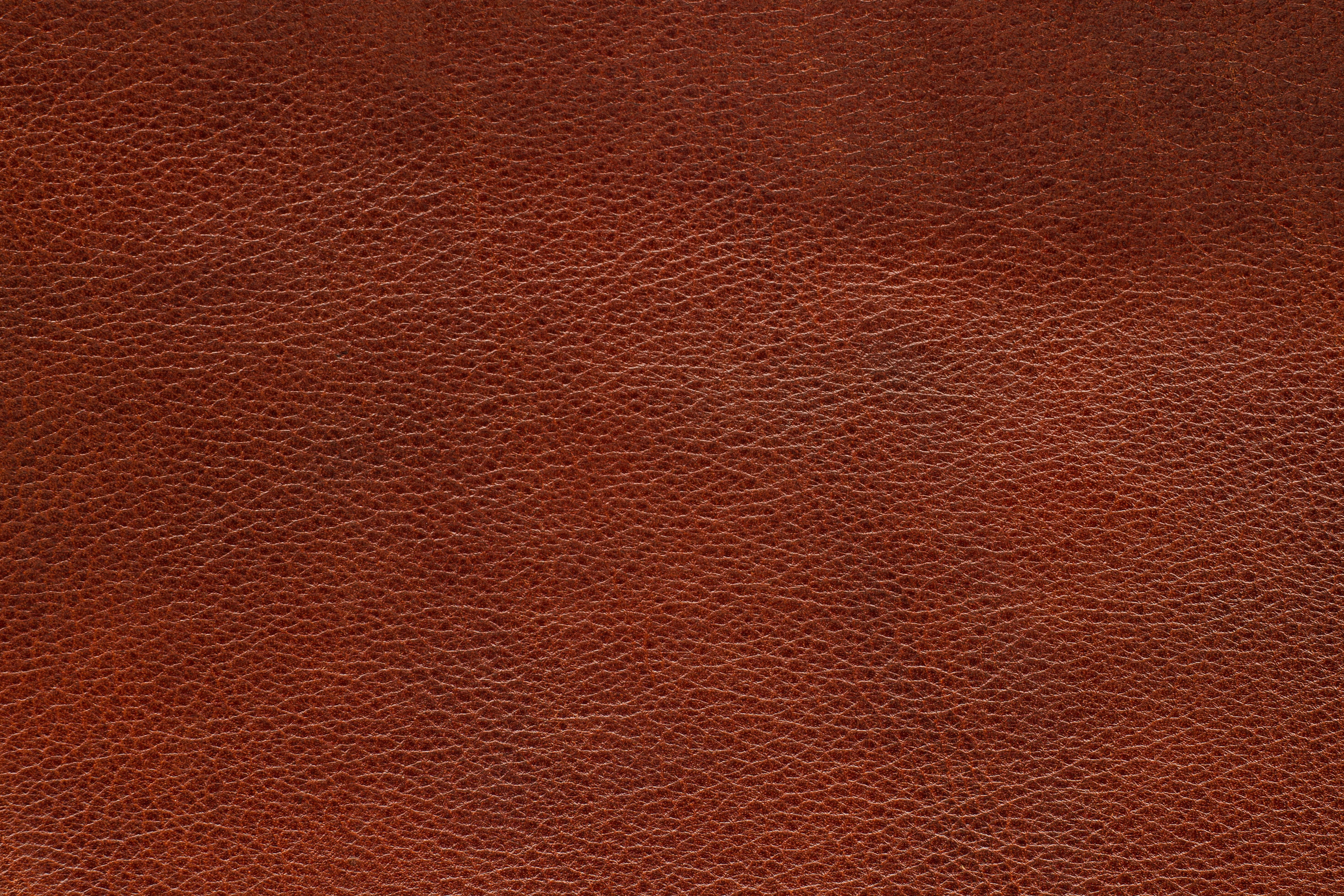 4K, 5K, skin, Texture, Leather Gallery HD Wallpaper