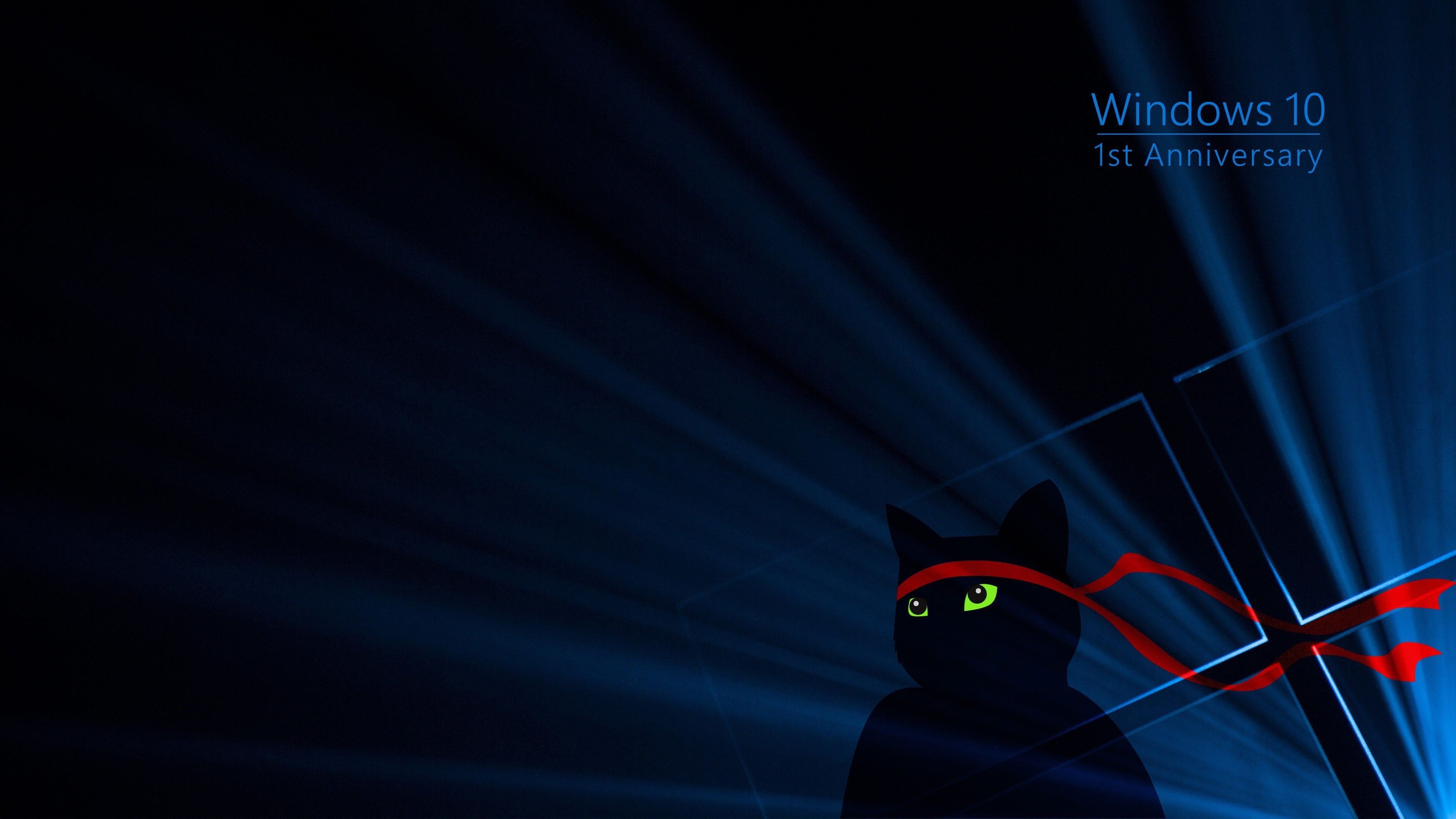 Wallpaper / 4K, cat windows 10 green red blue dark black windows 10 anniversary free download