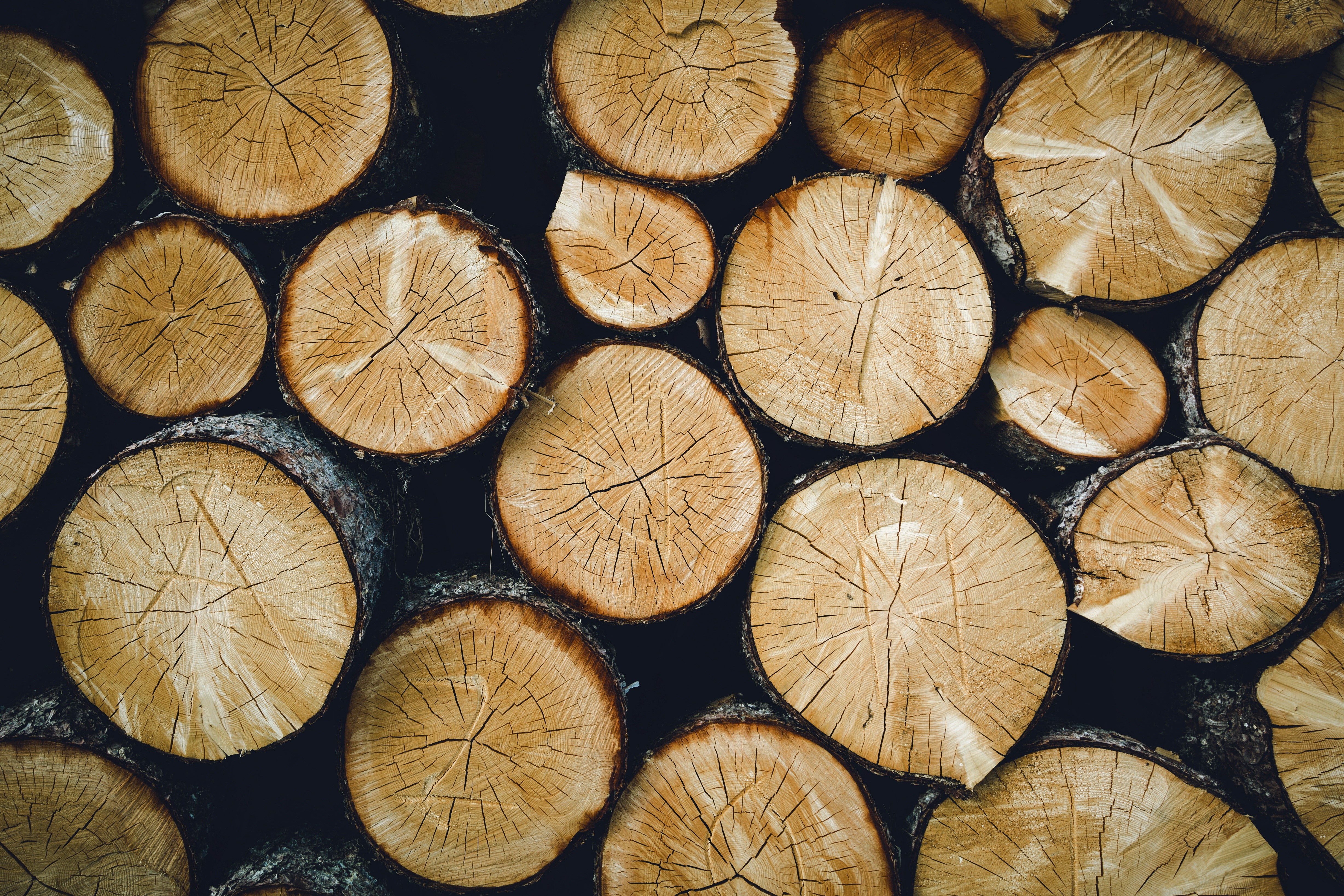 4K, Texture, Wooden, Wood log Gallery HD Wallpaper