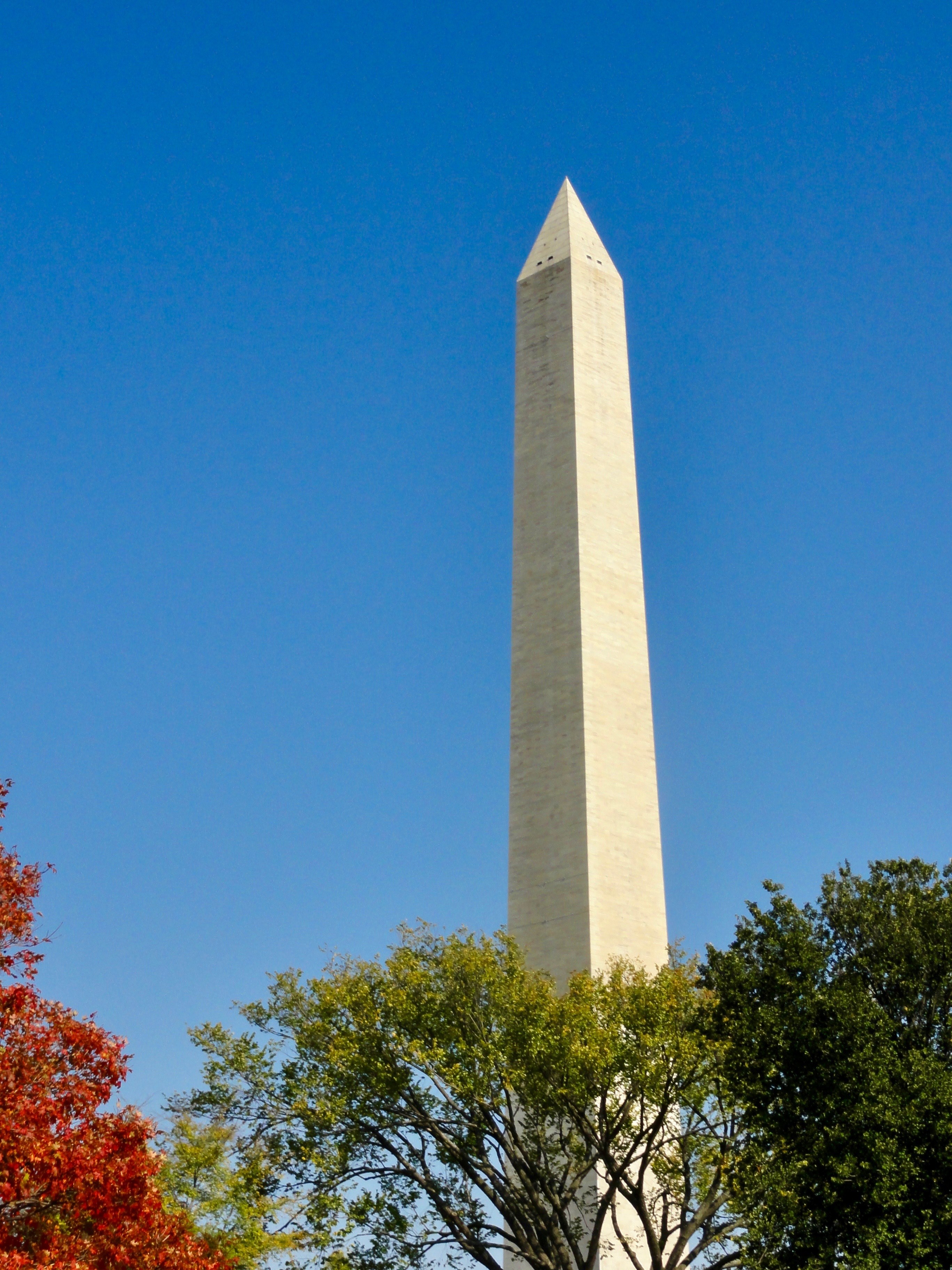 Wallpaper / district of colombium washington dc and washington monument HD 4k wallpaper free download