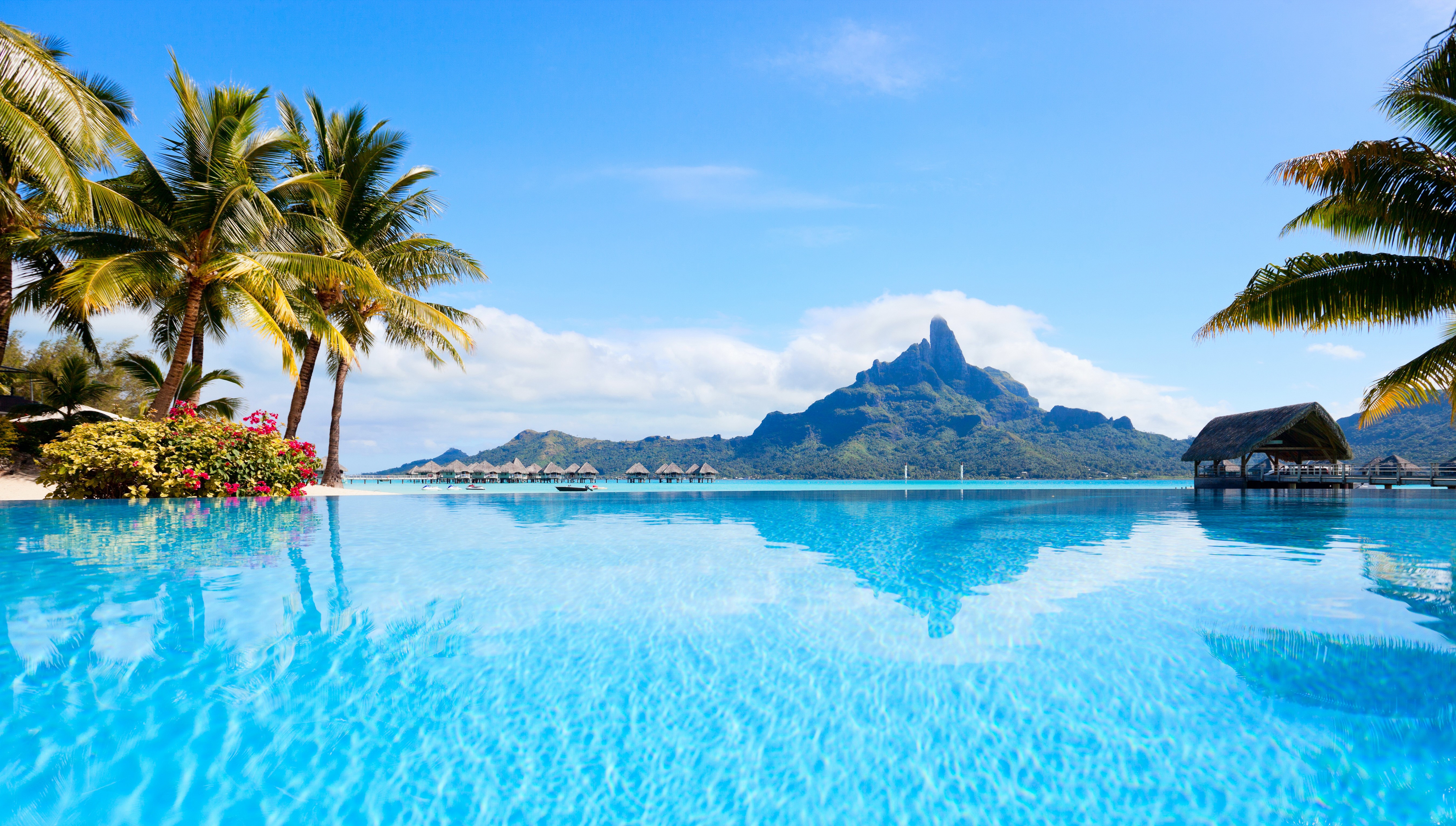 4K, 5K, French Polynesia, Tropics, Sea, Bora Bora, Palms, Bungalow Gallery HD Wallpaper