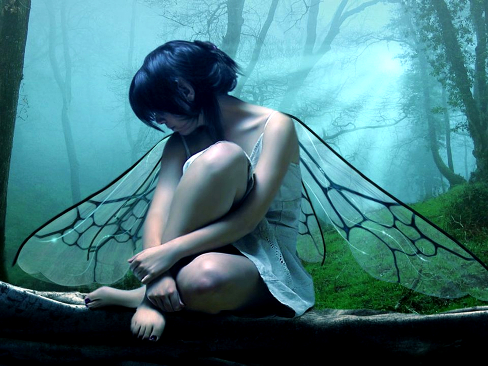 Download Fantasy Fairy HD Wallpaper