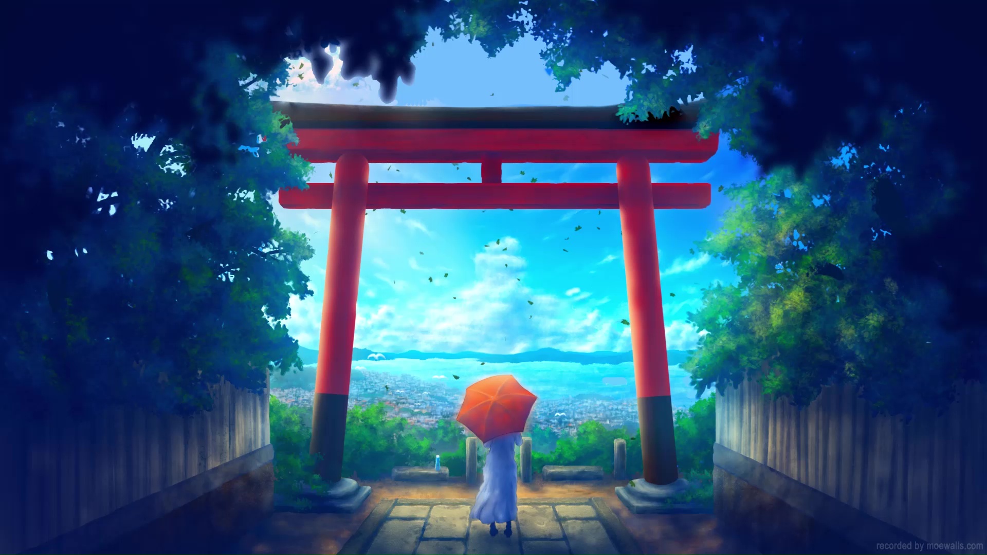 Summer Torii Gate Live Wallpaper