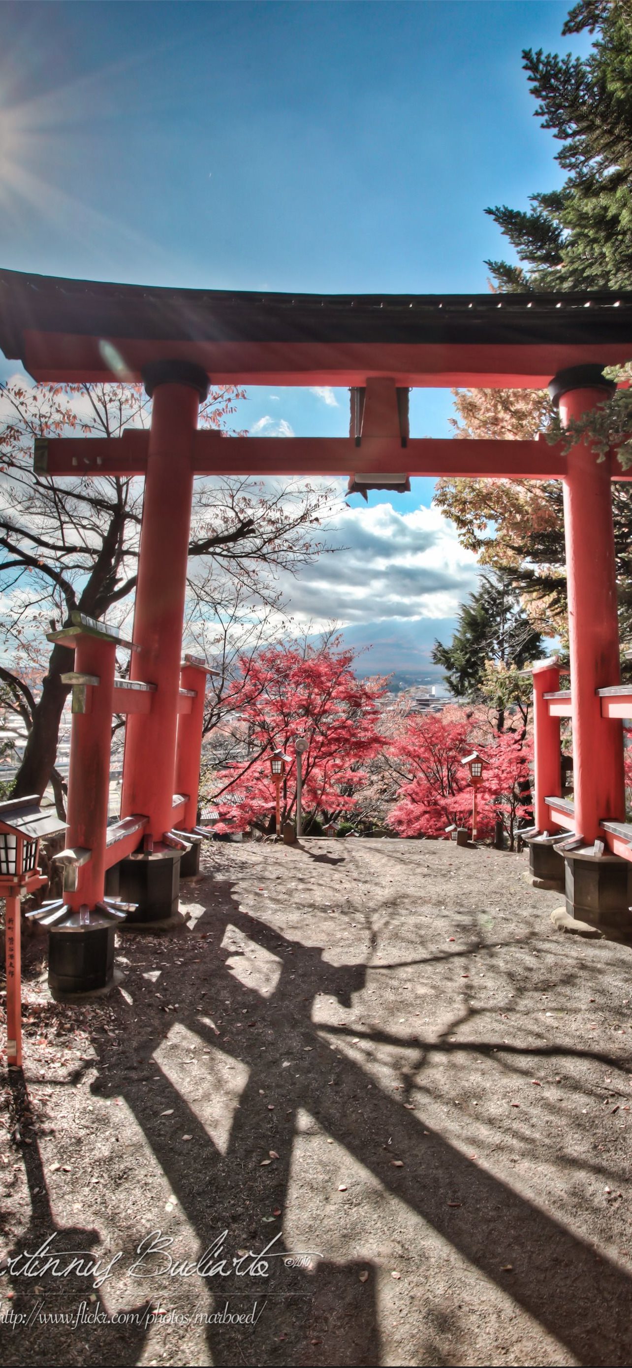 Free download Best Torii gate iPhone HD Wallpaper iLikeWallpaper [1284x2778] for your Desktop, Mobile & Tablet. Explore Japanese Torii Wallpaper. Japanese Tattoo Wallpaper, Wallpaper Japanese Garden, Japanese Wallpaper