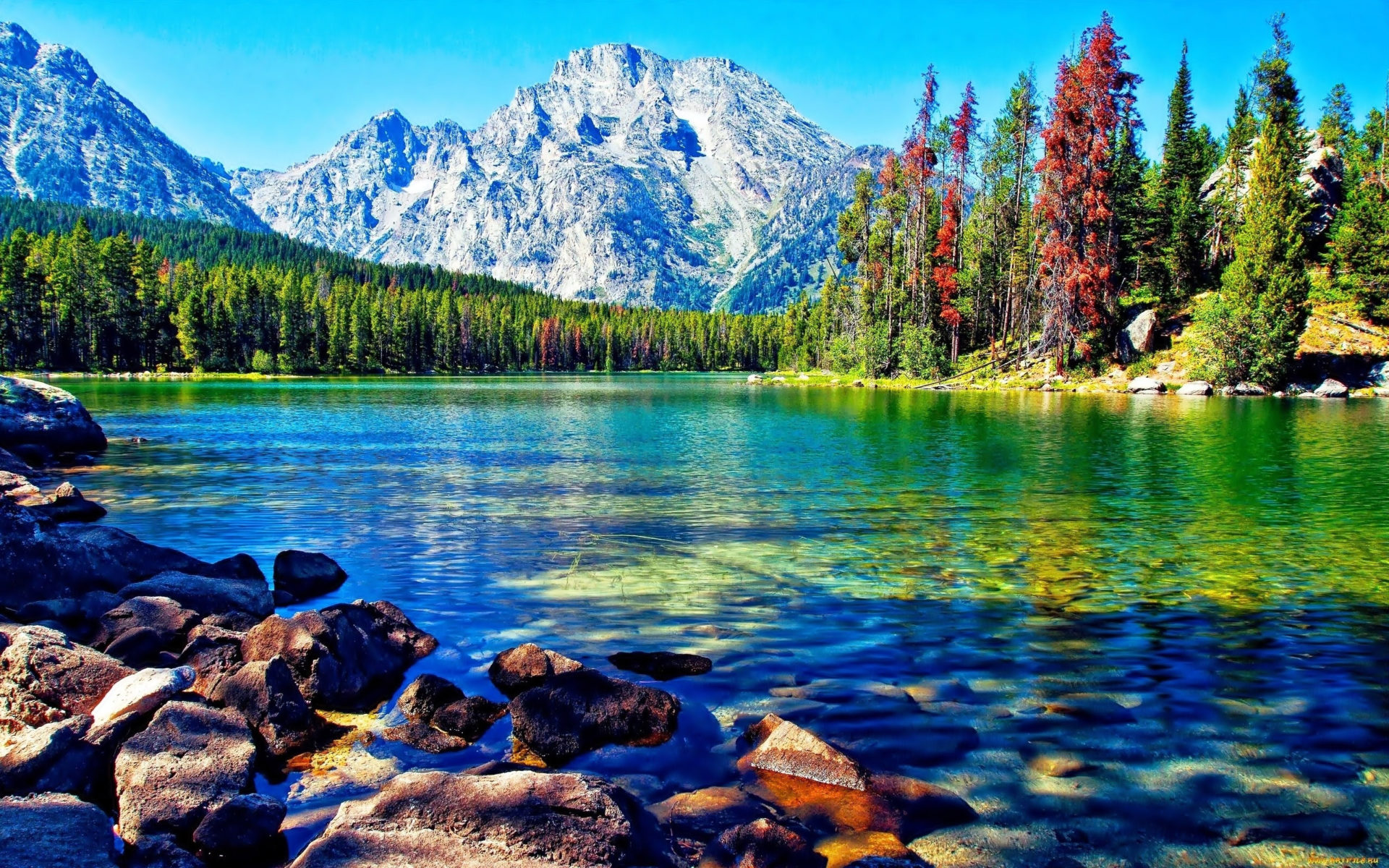Beautiful Lake Mountain Forest Desktop Wallpaper, Wallpaper13.com