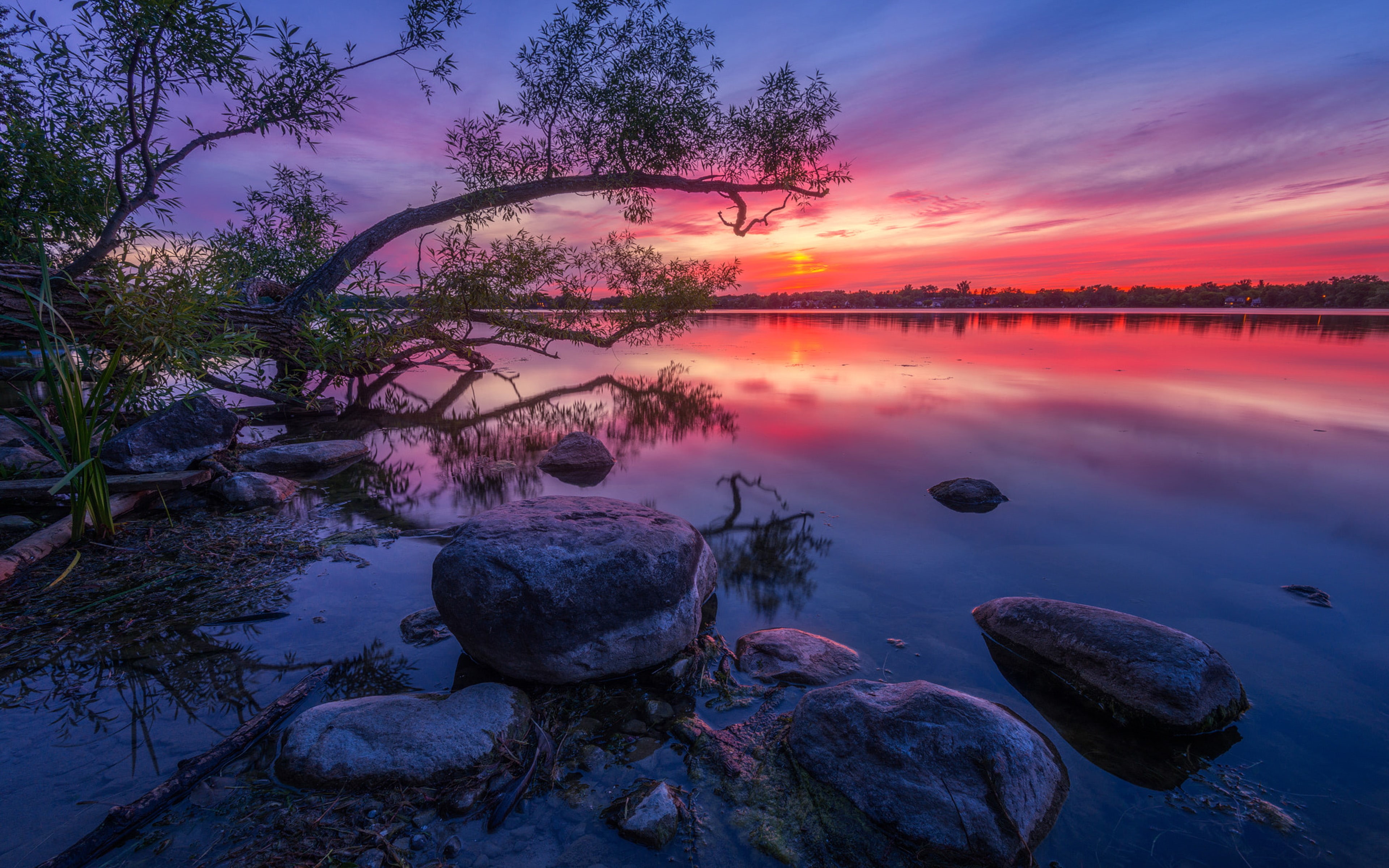 Wallpaper / lake, sunset, wilcox, wallpaper, water, computers, wood, ontario, dusk, hd, 4K, reflection, red, desktop, mobile, willow, phones, stone, tablet, canada free download