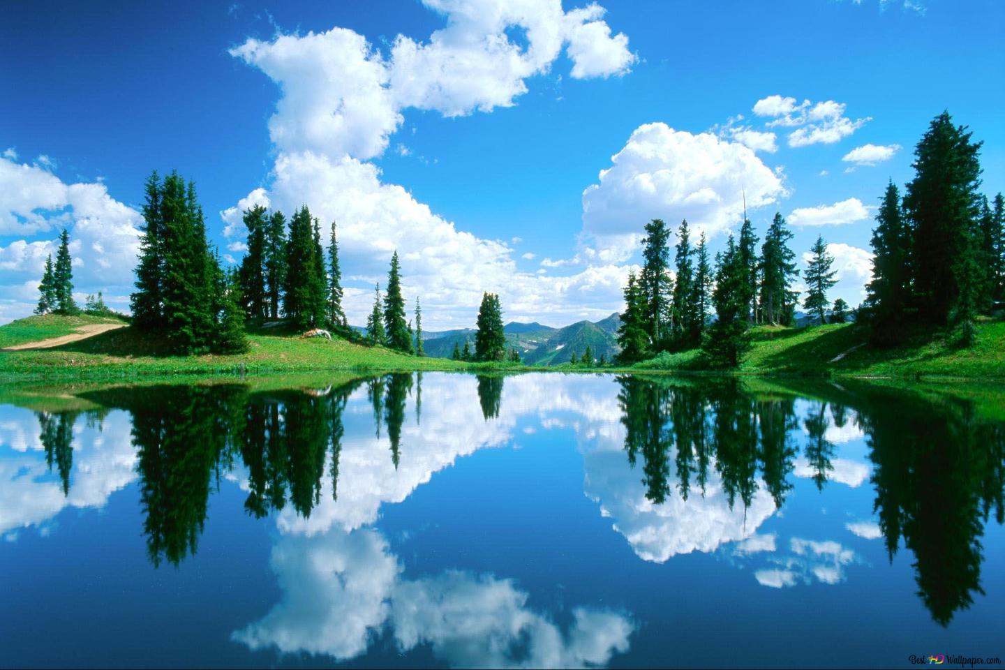 Wonderful view of trees and clouds reflected in the lake HD wallpaper download