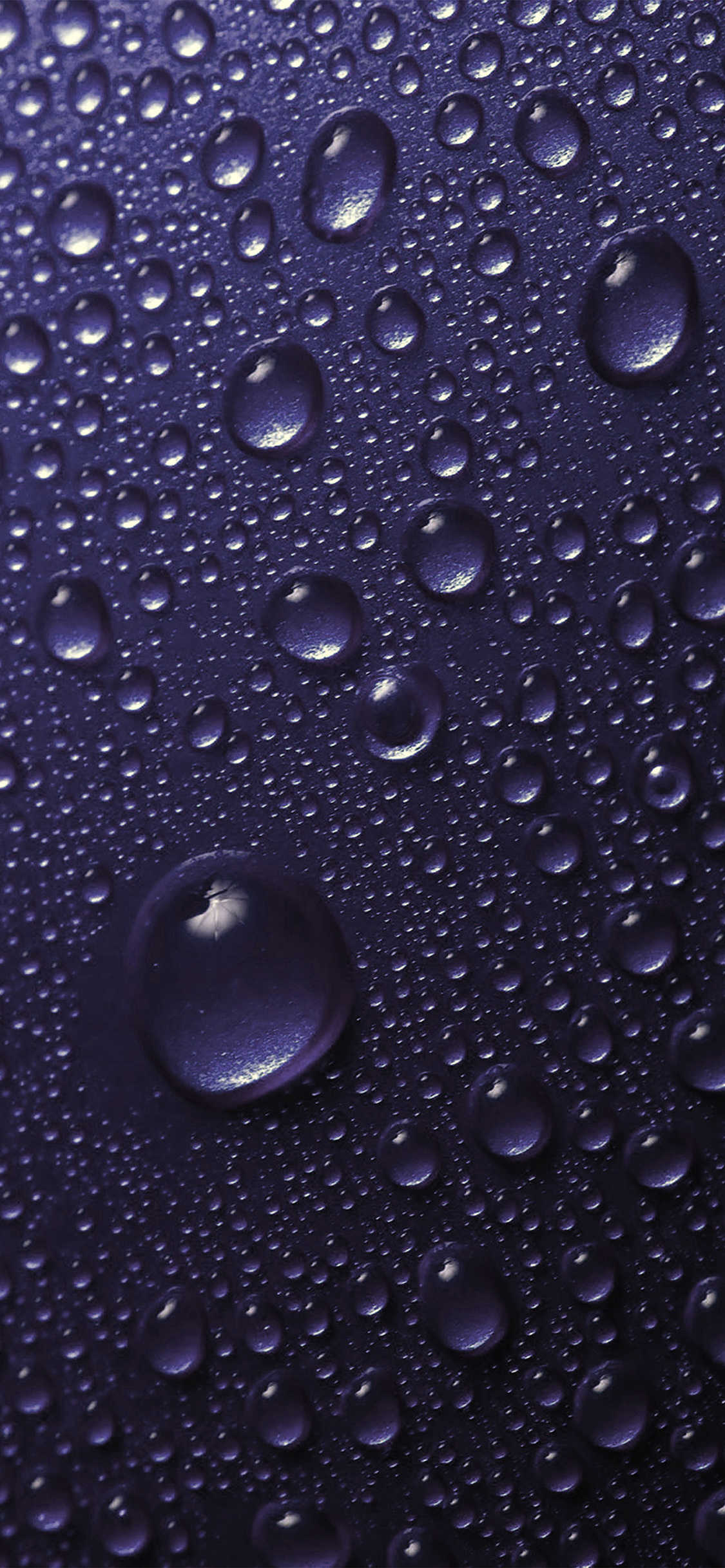 Rainy wallpaper for iPhone