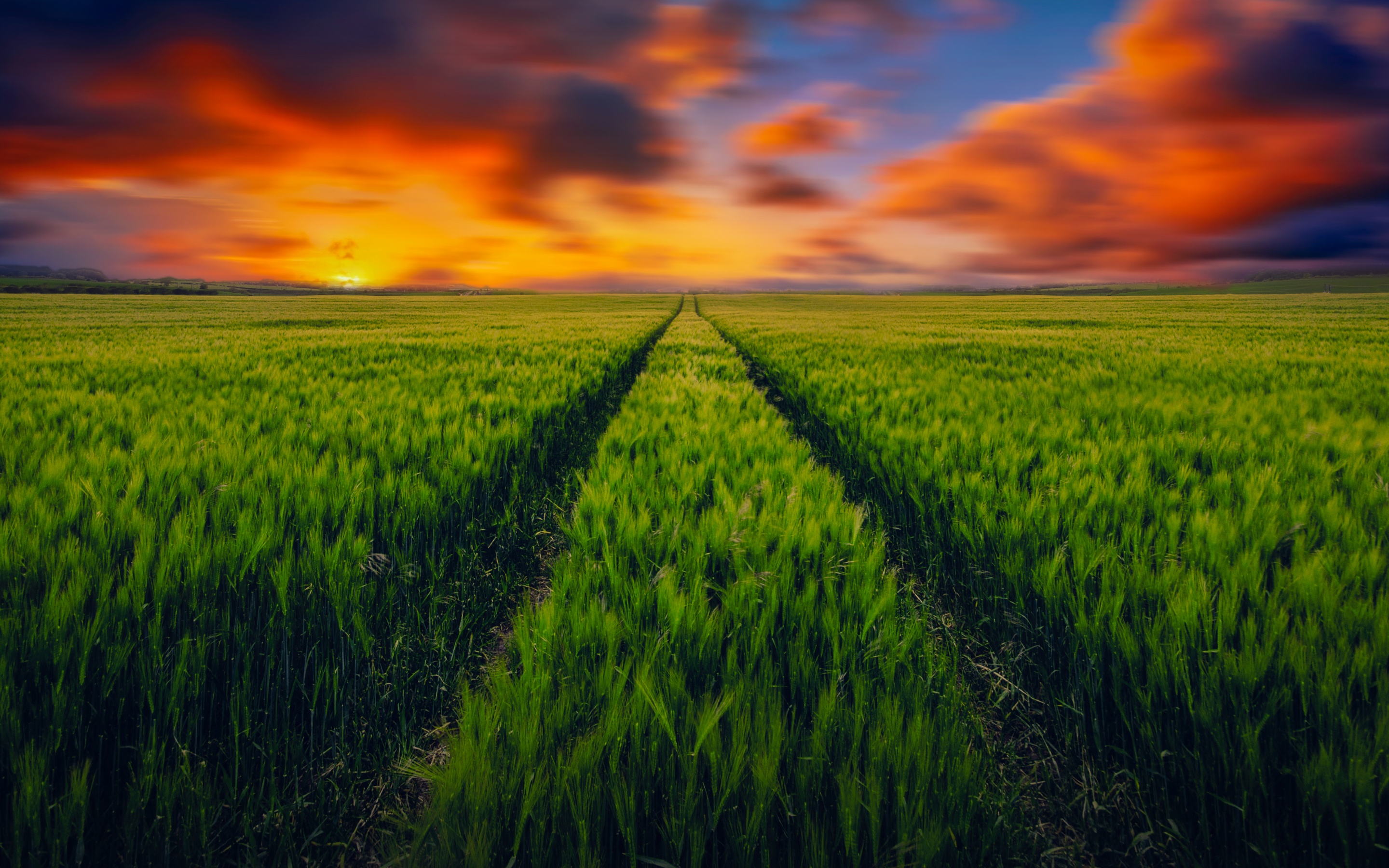 Grass field Wallpaper 4K, Green Grass, Farmland