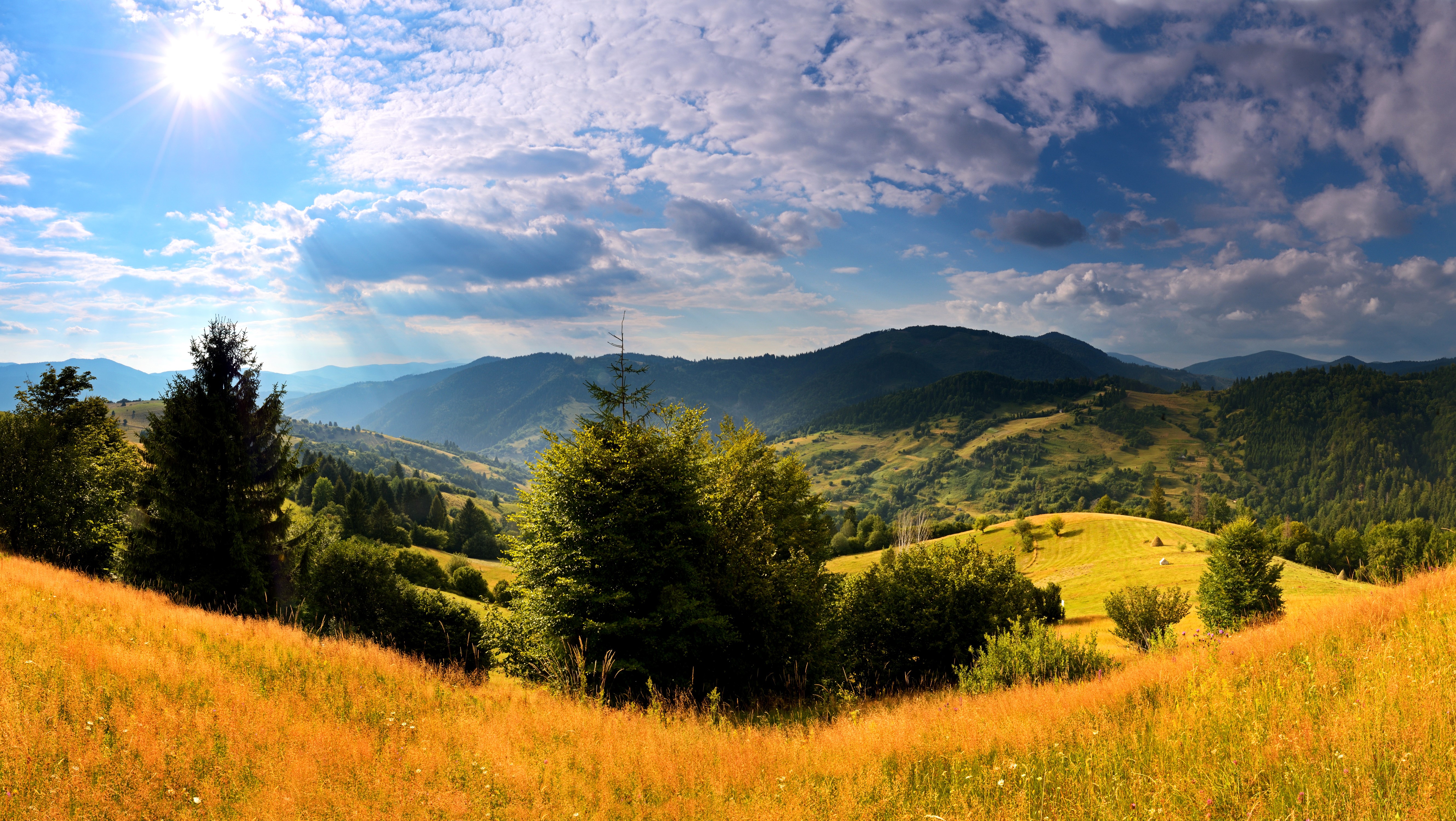 4K, 5K, Ukraine, Scenery, Mountains, Carpathians, Spruce, Grass, Clouds Gallery HD Wallpaper