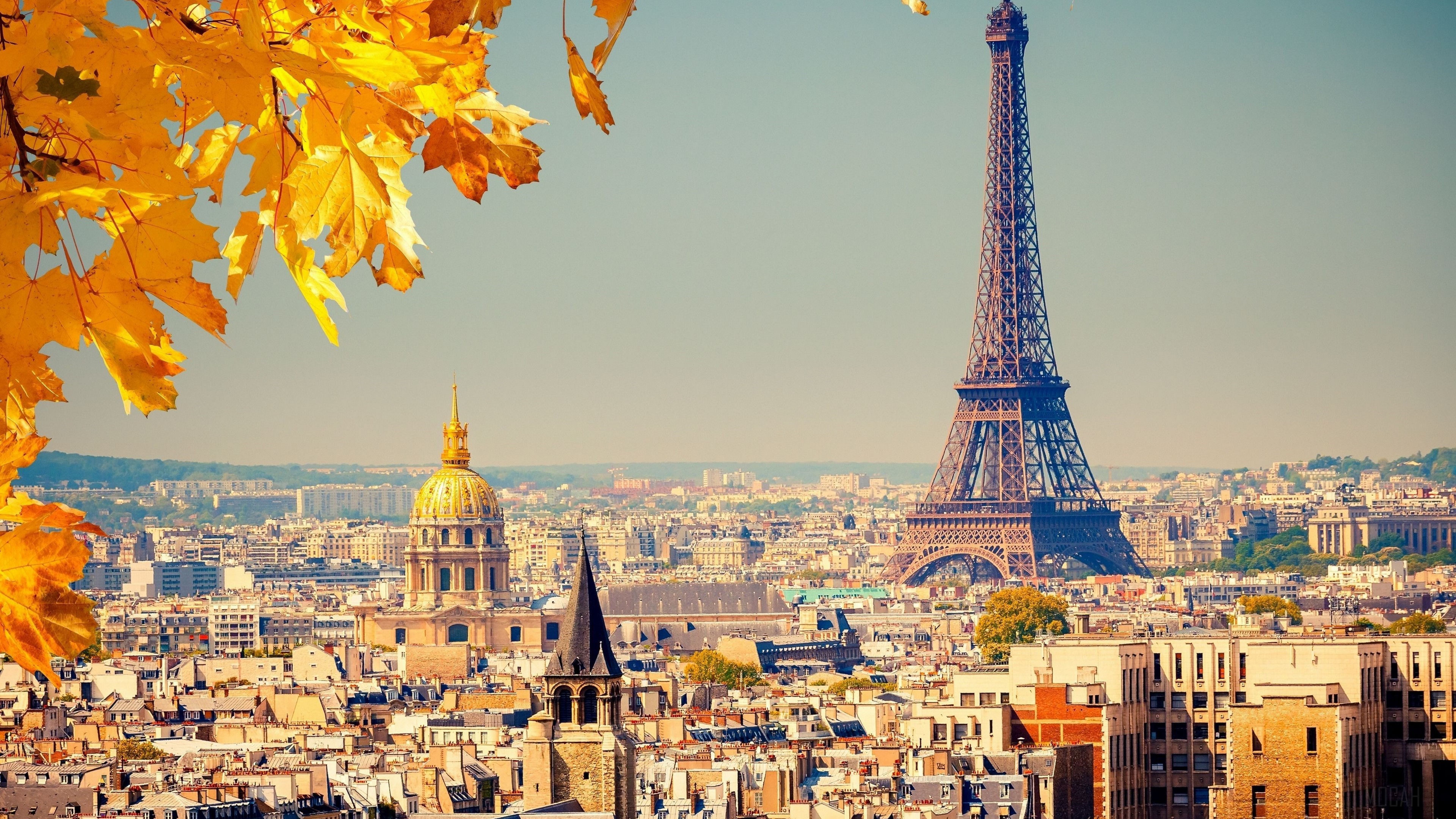 Eiffel Tower, Foliage, France, Paris 4k Gallery HD Wallpaper