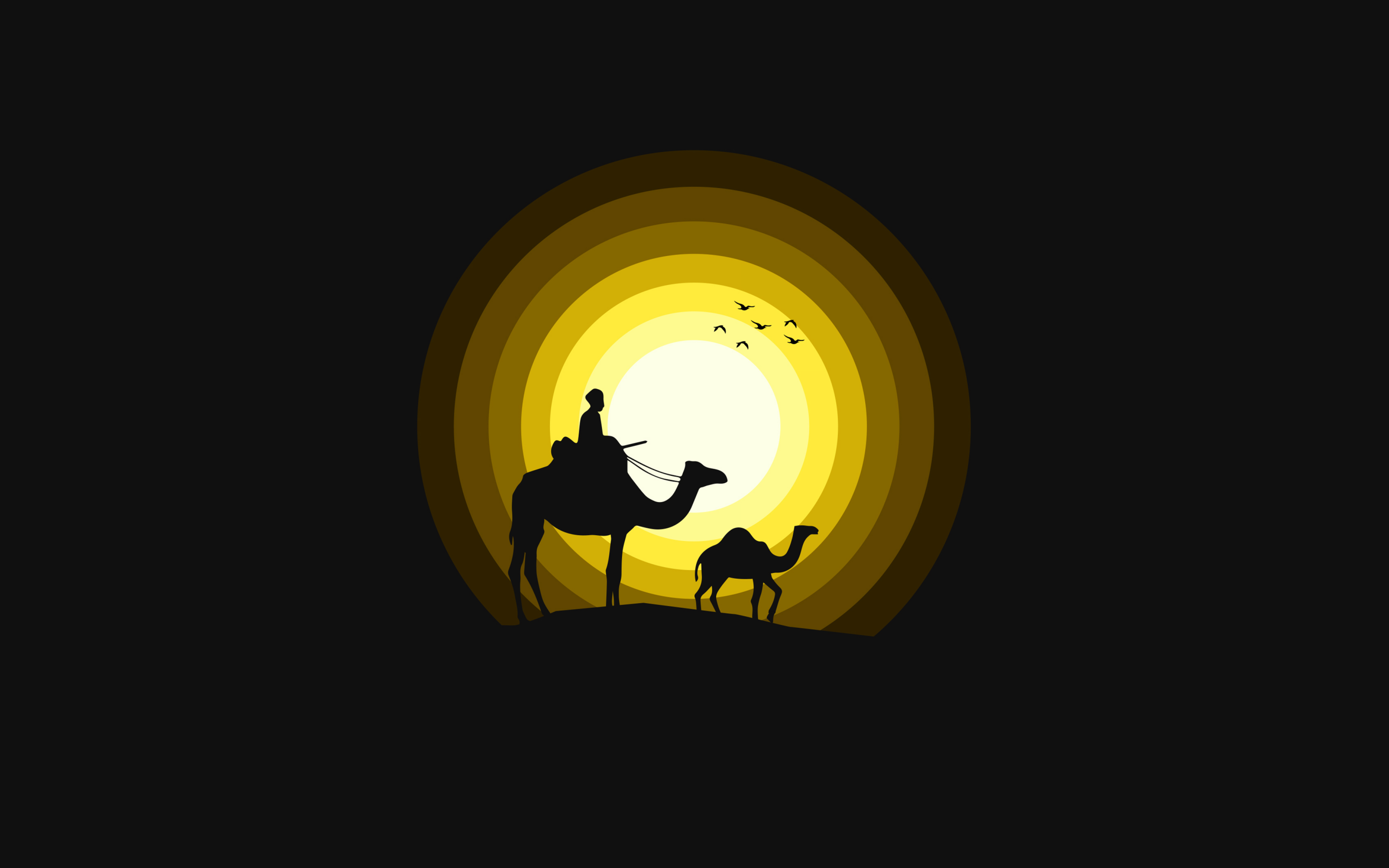 Camels Wallpaper 4K, Sun, Silhouette, Yellow