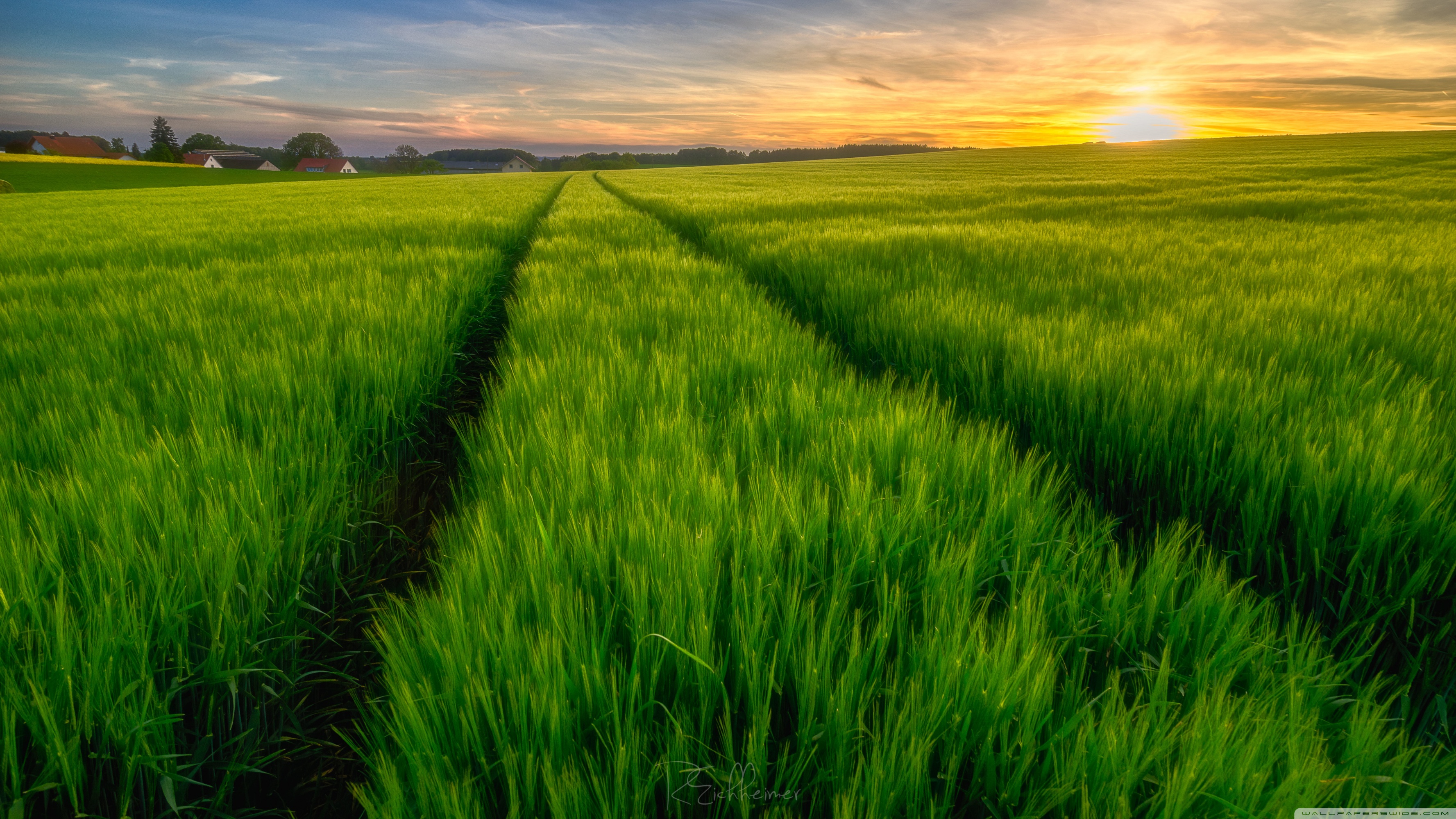 Free download Green Field Spring 4K HD Desktop Wallpaper for 4K Ultra HD TV [3554x1999] for your Desktop, Mobile & Tablet. Explore Green Field Wallpaper. Baseball Field Wallpaper, Football