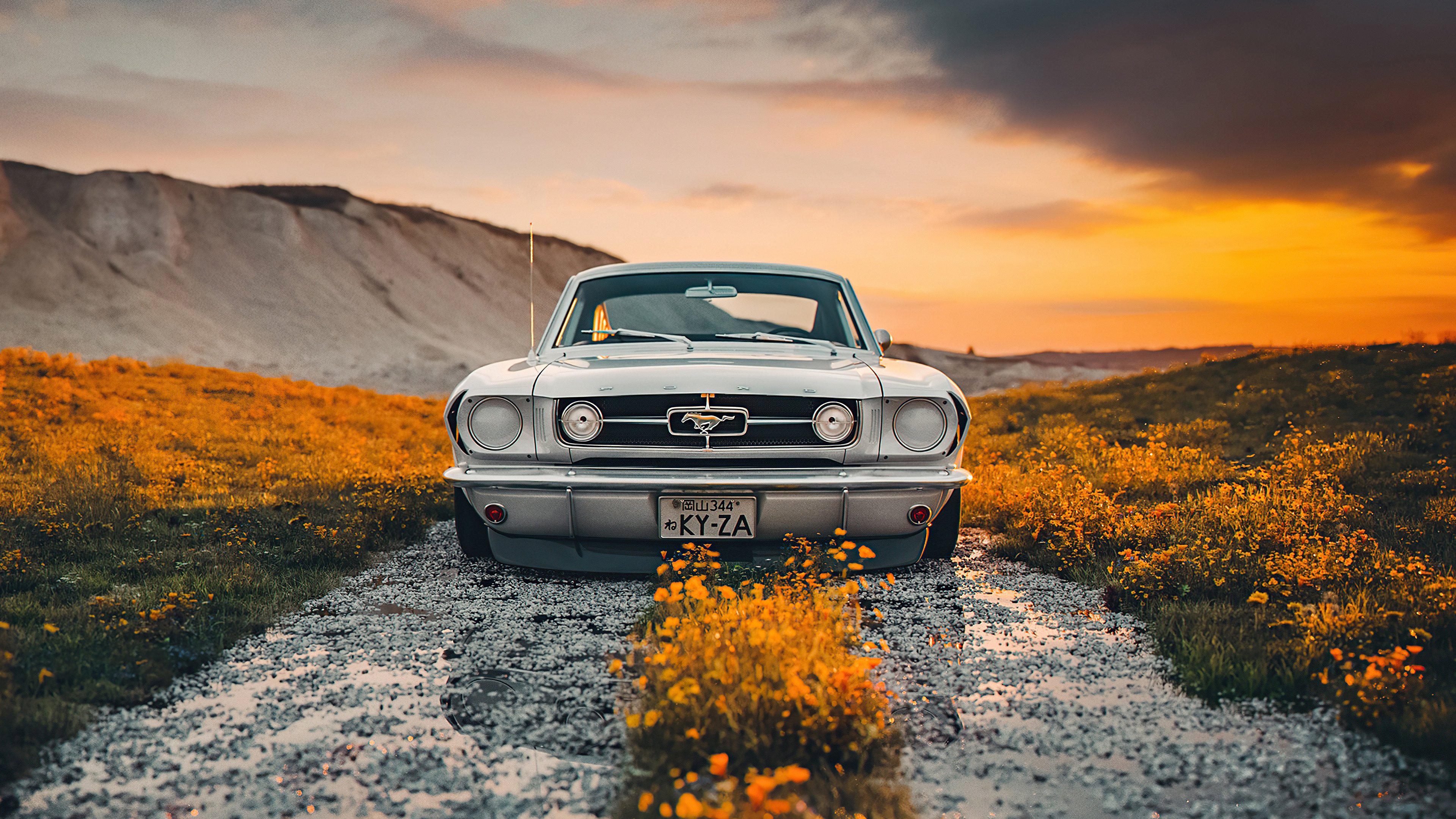 Car in flower field Wallpaper 4k Ultra HD