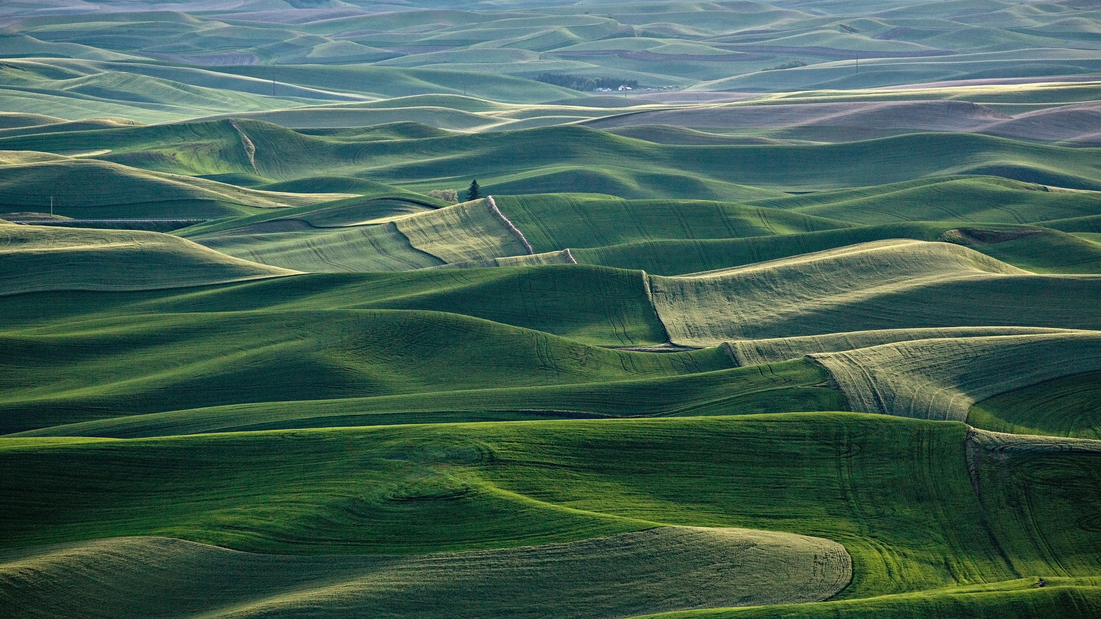 Free download landscape fog field grass ultrahd 4k wallpaper wallpaper background [3840x2160] for your Desktop, Mobile & Tablet. Explore 4K Wallpaper Grass. Apple Grass Wallpaper, HD Grass Wallpaper, Grass Wallpaper Colors