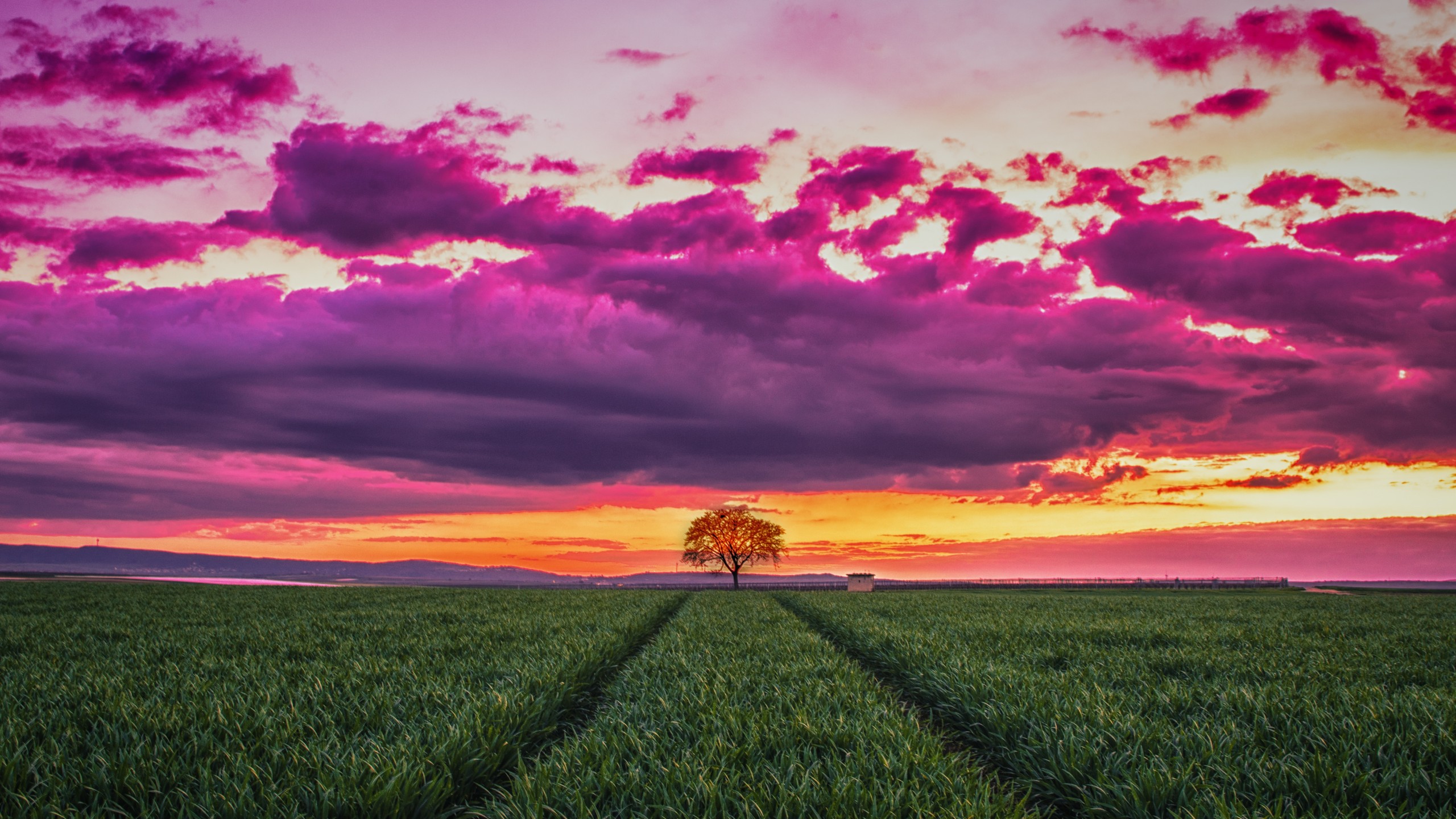 Wallpaper sunset, field, grass, sky, clouds, 4k, Nature