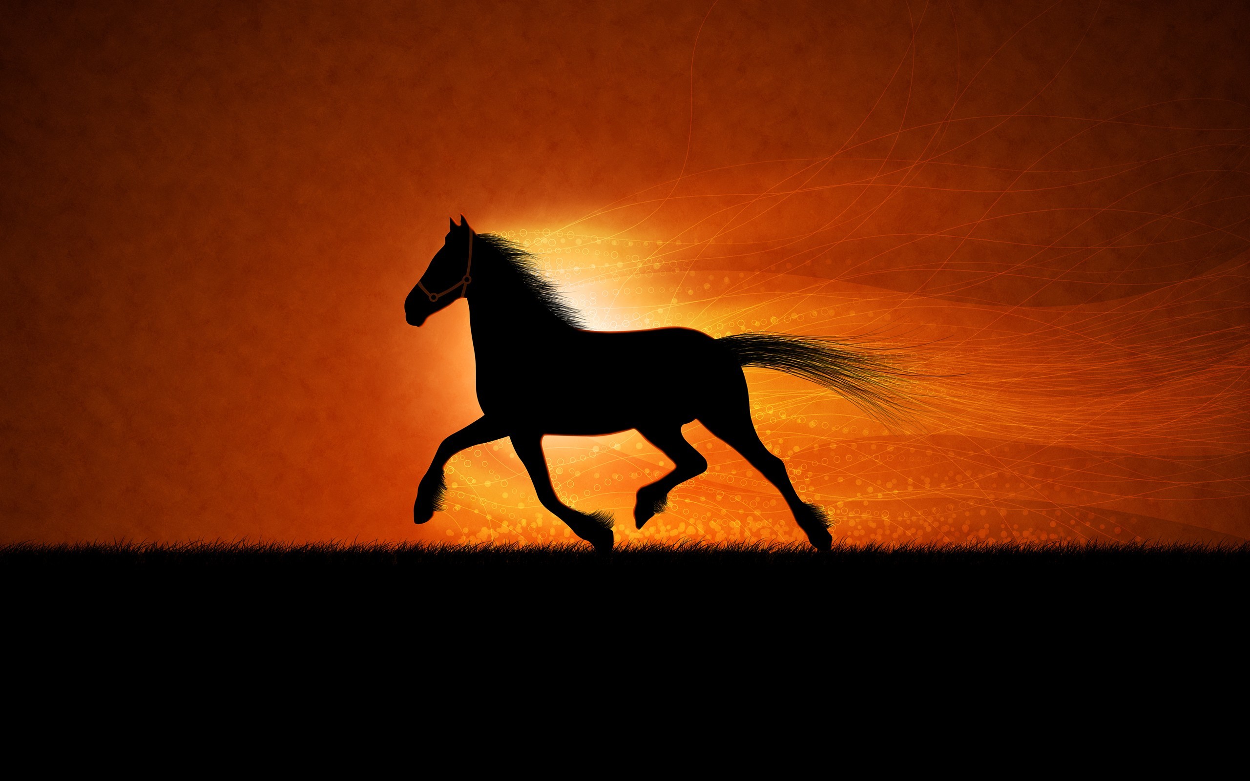 Running Horses Wallpaper