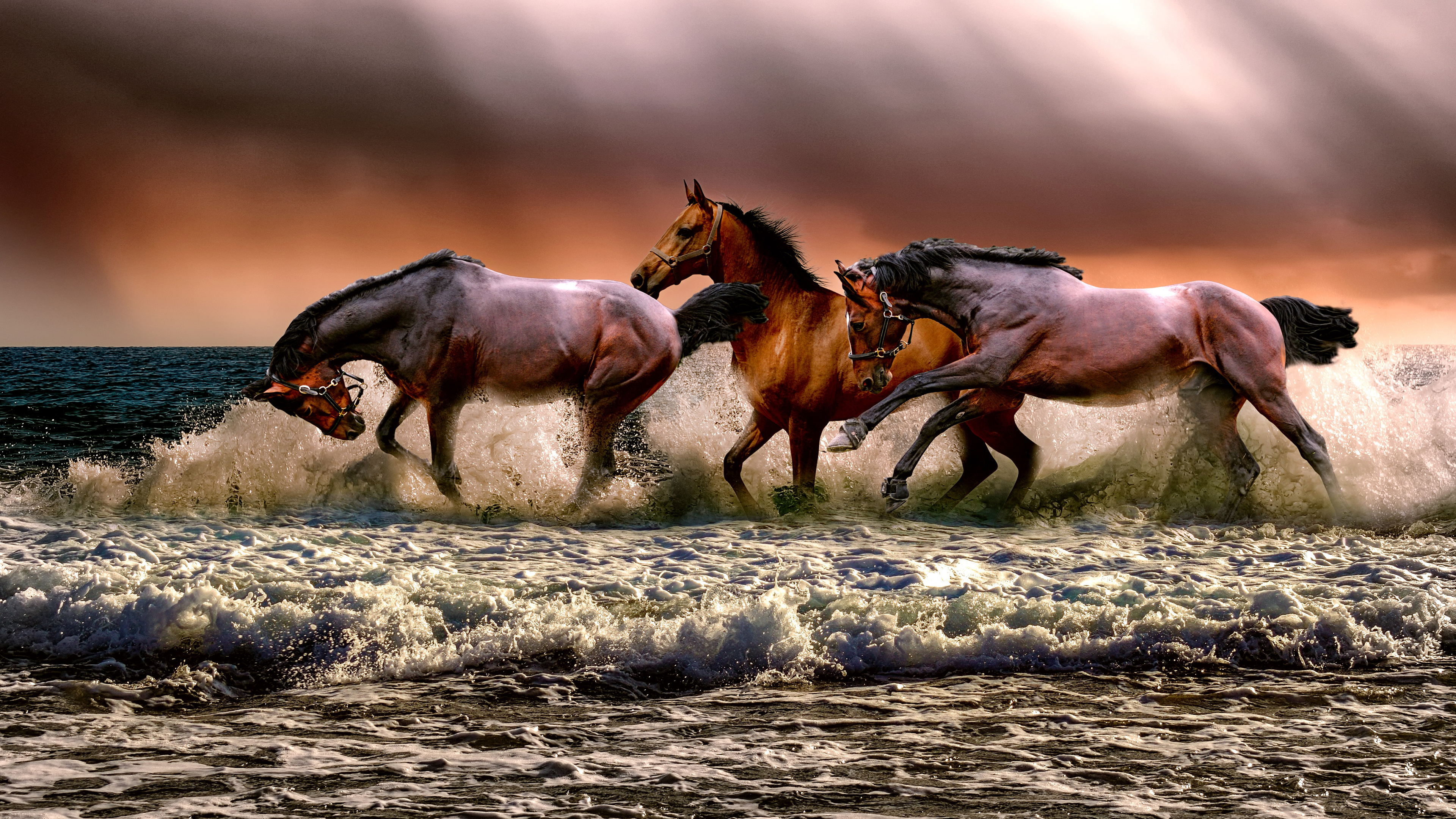 Horses Running Free Wallpaper 4K
