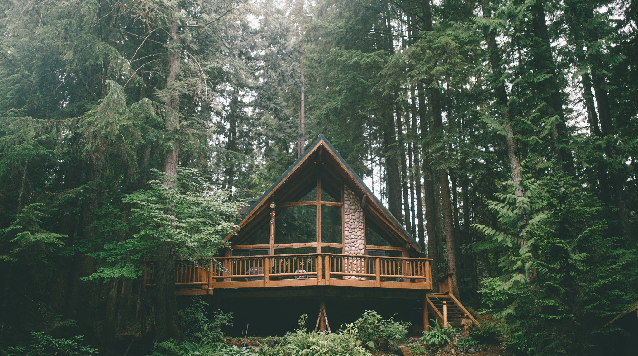 Wallpaper, forest, nature, building, hut, wilderness, jungle, tree house, rainforest, cottage, woodland, habitat, natural environment, log cabin 2048x1143