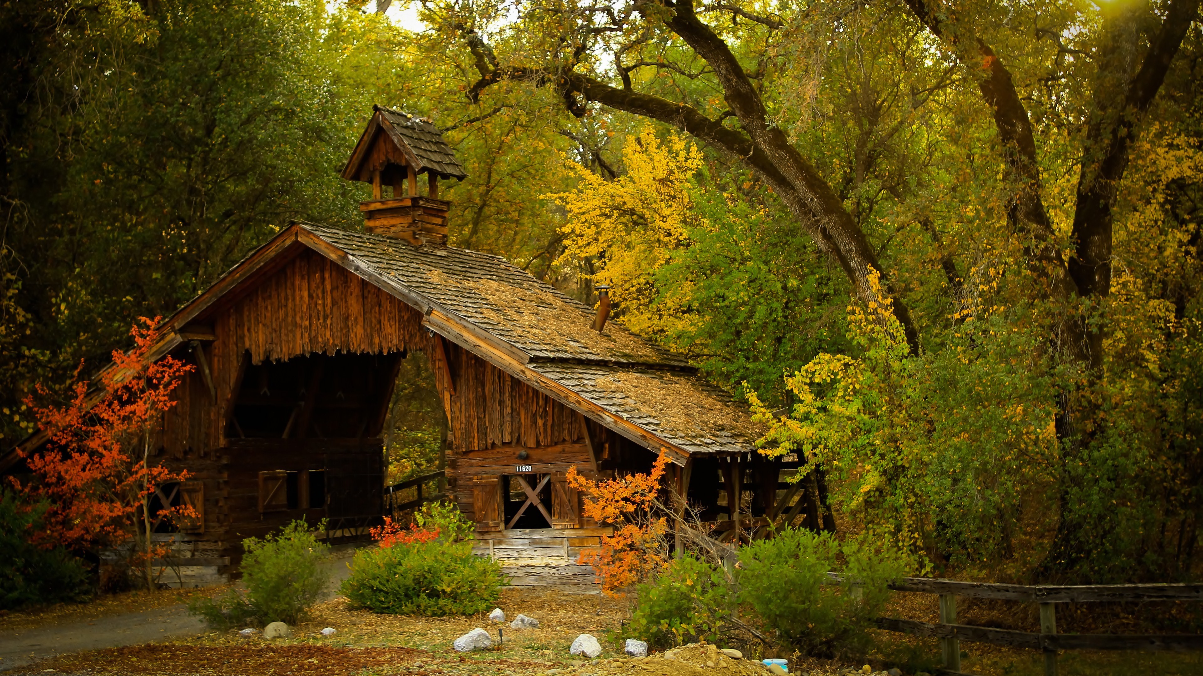 Wallpaper, forest, nature, house, village, hut, wilderness, jungle, tree, autumn, leaf, flower, season, woodland, rural area, habitat, natural environment, log cabin 3840x2160