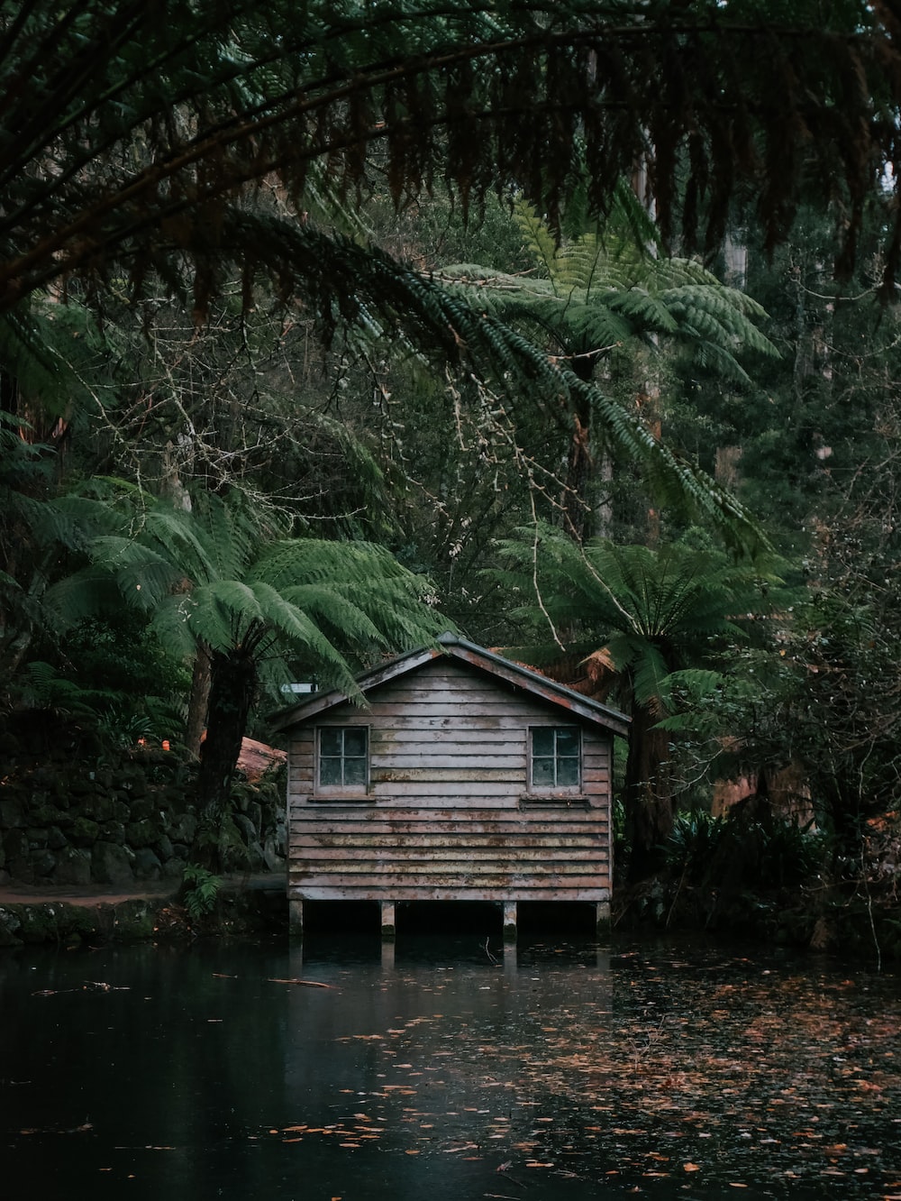 Jungle House Picture. Download Free Image