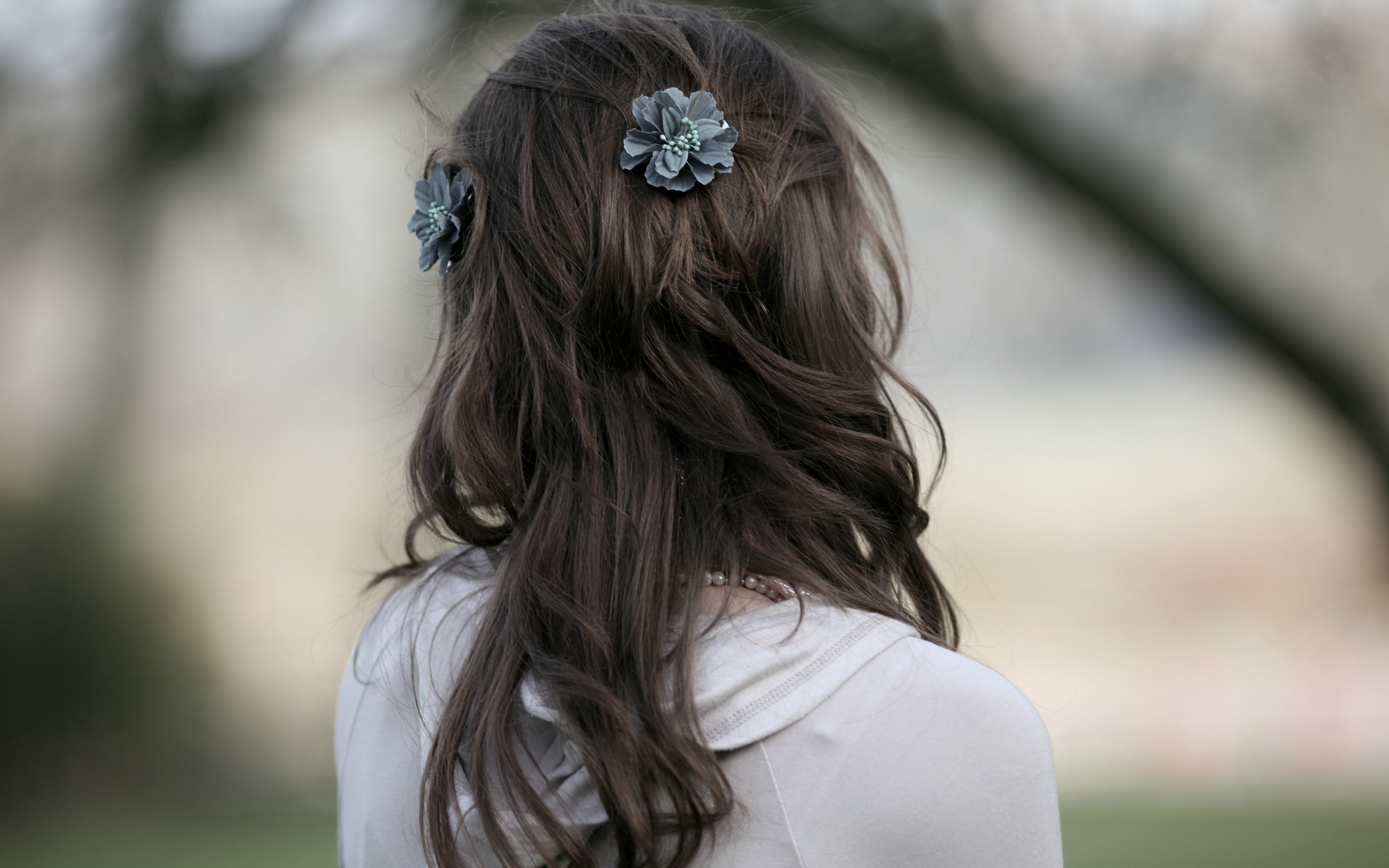 Free photo: Girl's Back, Beauty, Blue