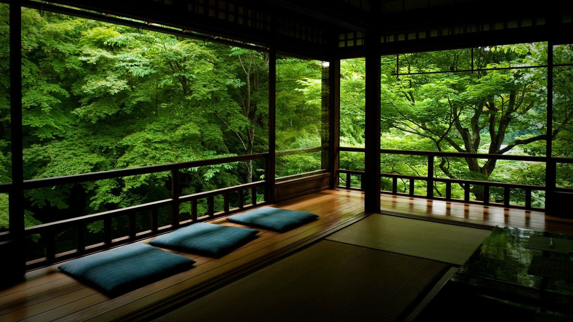 Wallpaper, trees, window, house, green, jungle, interior design, backyard, estate, mansion, screenshot 1920x1080