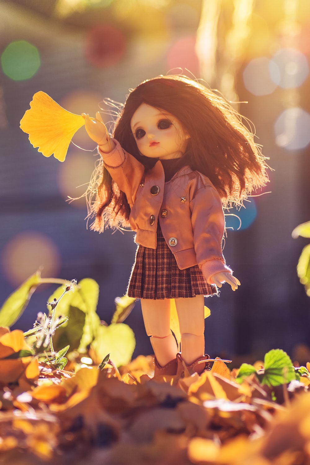 Doll Photo. Download Free Image