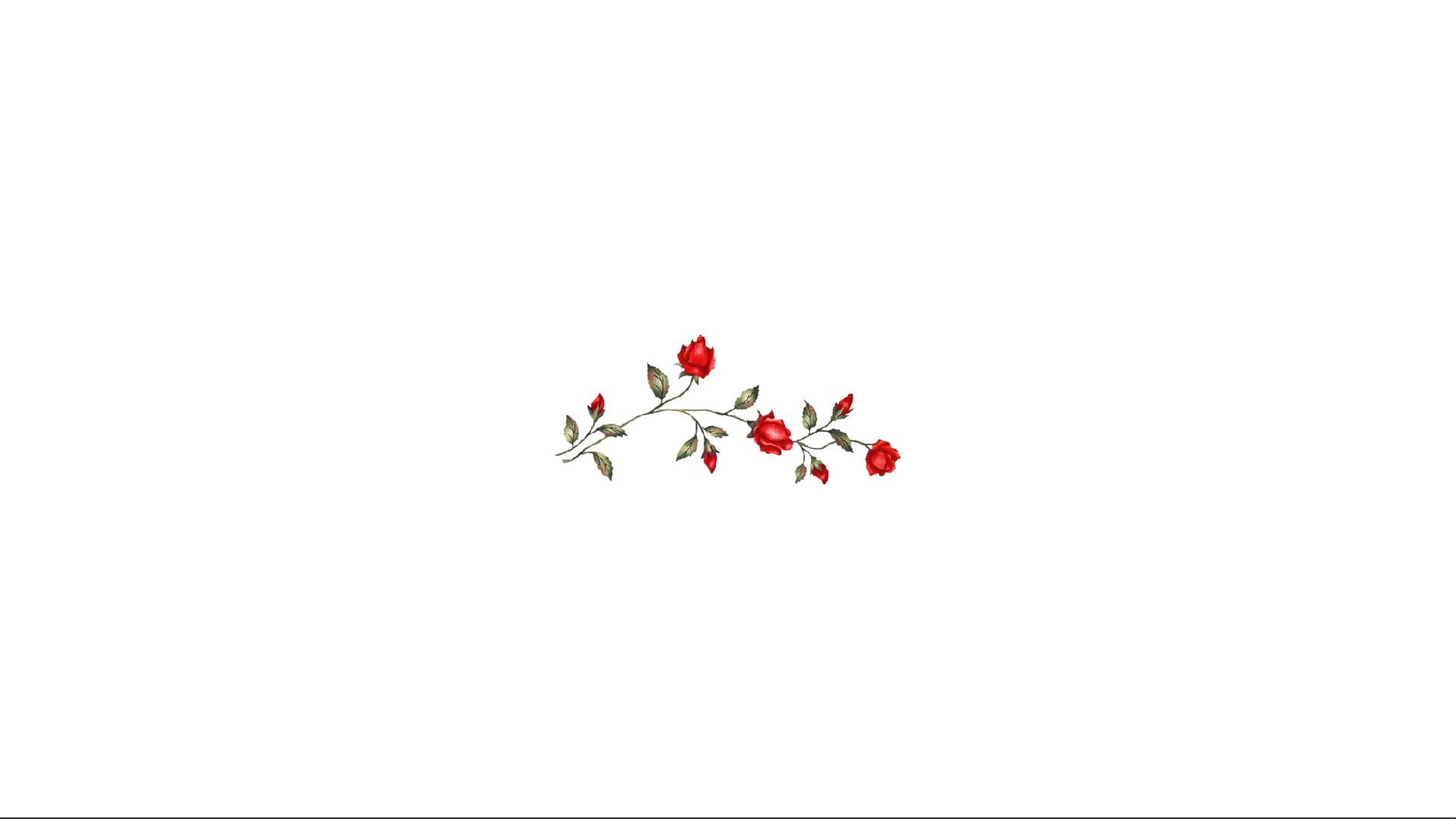 Free download red roses background for computer white and red and white [1920x1080] for your Desktop, Mobile & Tablet. Explore Aesthetic White Computer Wallpaper. Black And White Computer Background