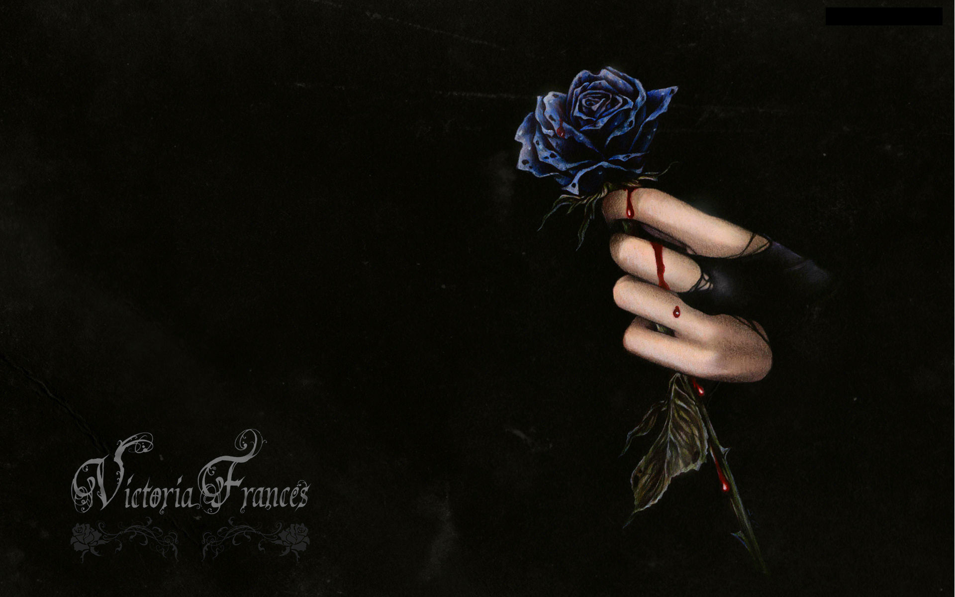 Free download Dark horror fantasy gothic vampire blood flowers wallpaper 1920x1200 [1920x1200] for your Desktop, Mobile & Tablet. Explore Gothic Horror Wallpaper. Gothic Background, Gothic Wallpaper, Gothic Wallpaper