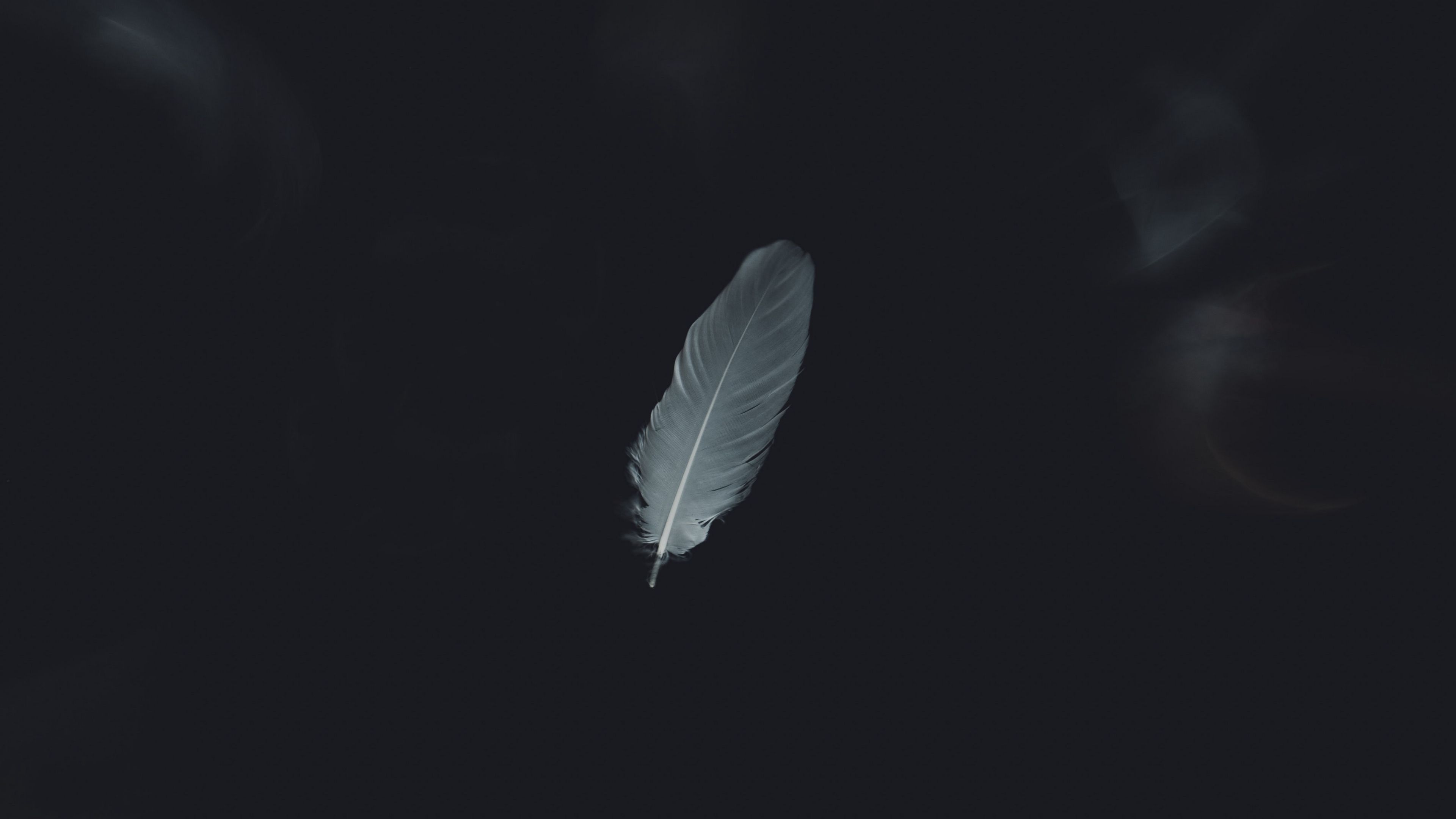 Download wallpaper 3840x2160 feather, minimalism, bw 4k uhd 16:9 HD background