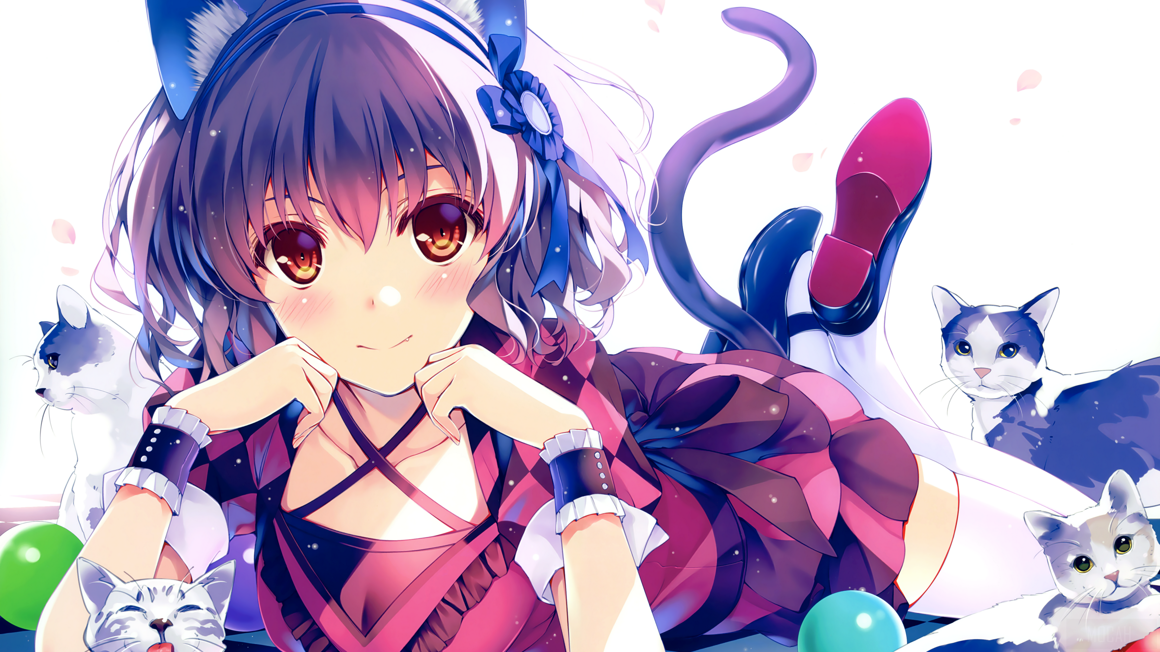 Cat Girl 1080P, 2k, 4k HD wallpaper, background free download