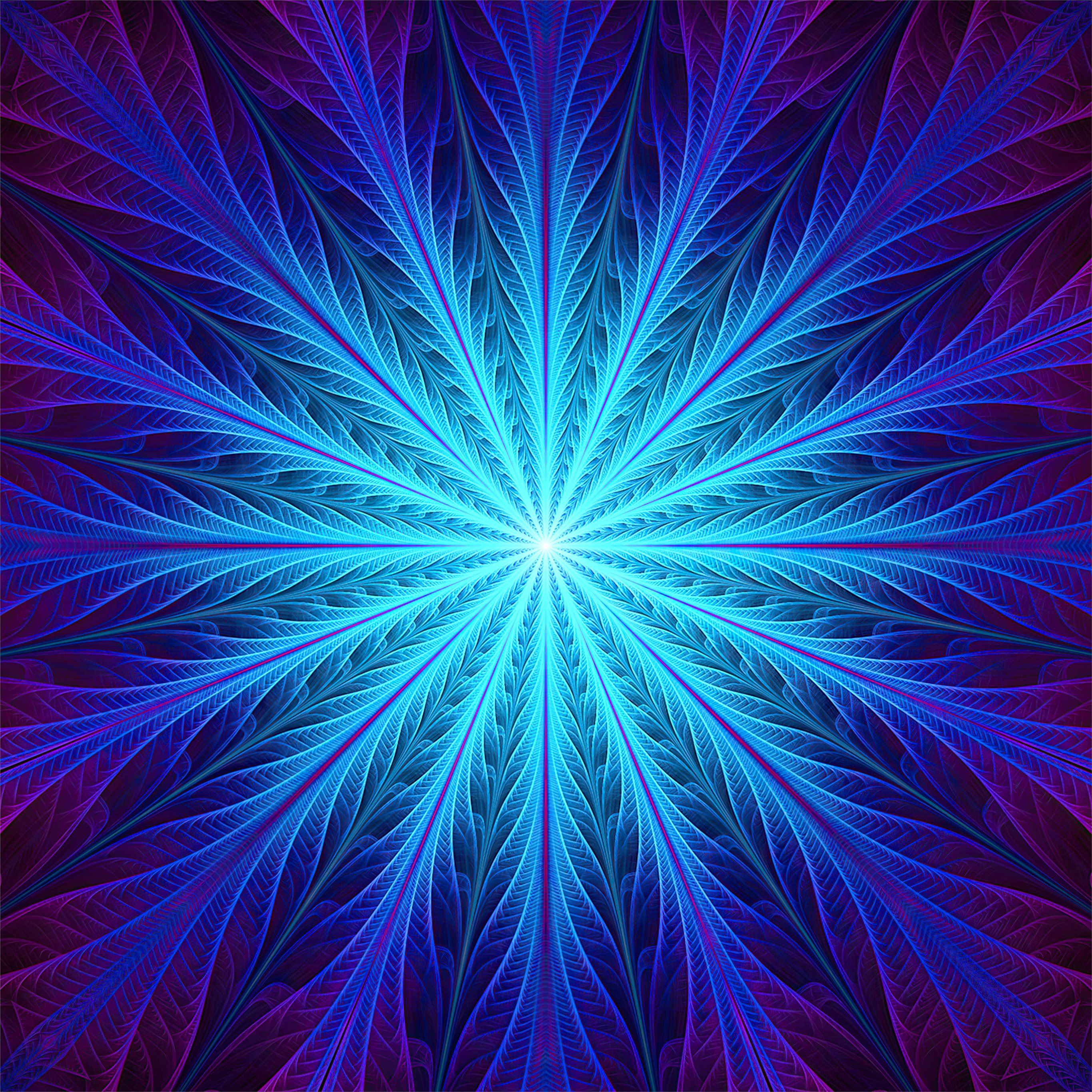 feather blue abstract 4k iPad Pro Wallpaper Free Download