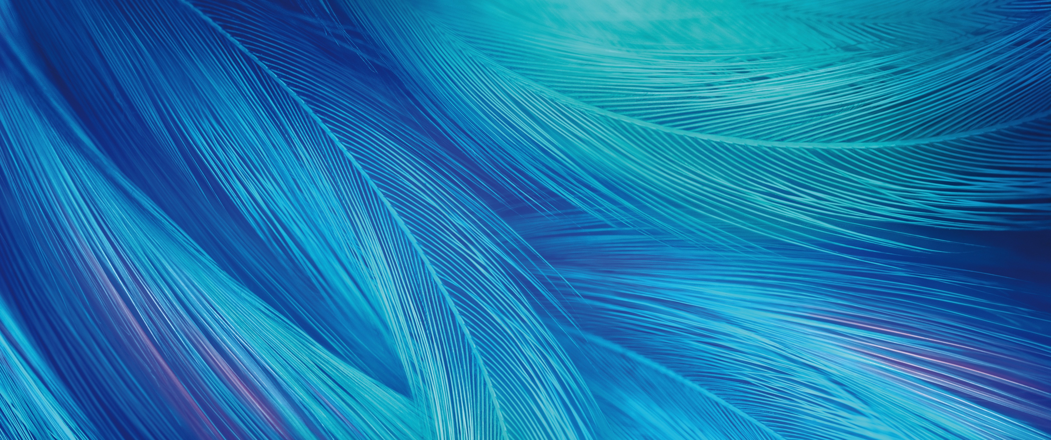 Feathers Wallpaper 4K, CGI, Blue, Teal, Stock, Vivo X27