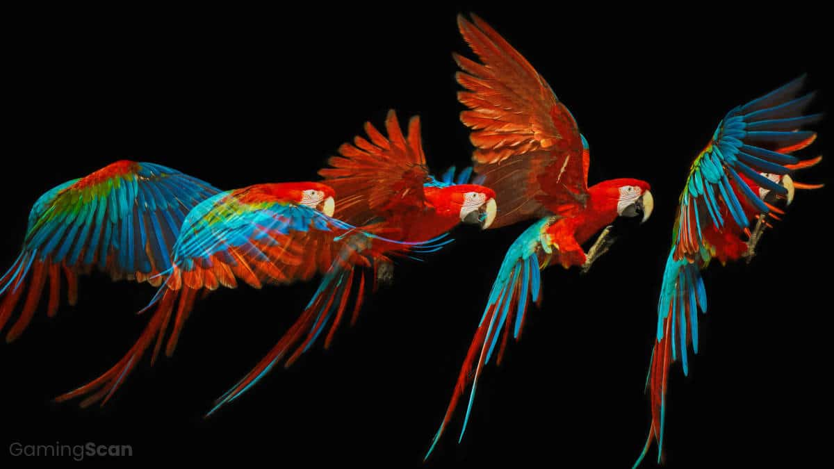 HDR10 vs HDRvs Dolby Vision [2023 Guide]